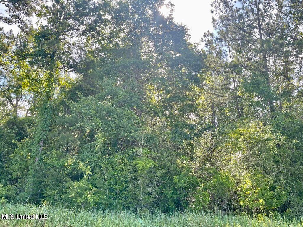 1.62 Acres Ferrell Lane Property Photo 4