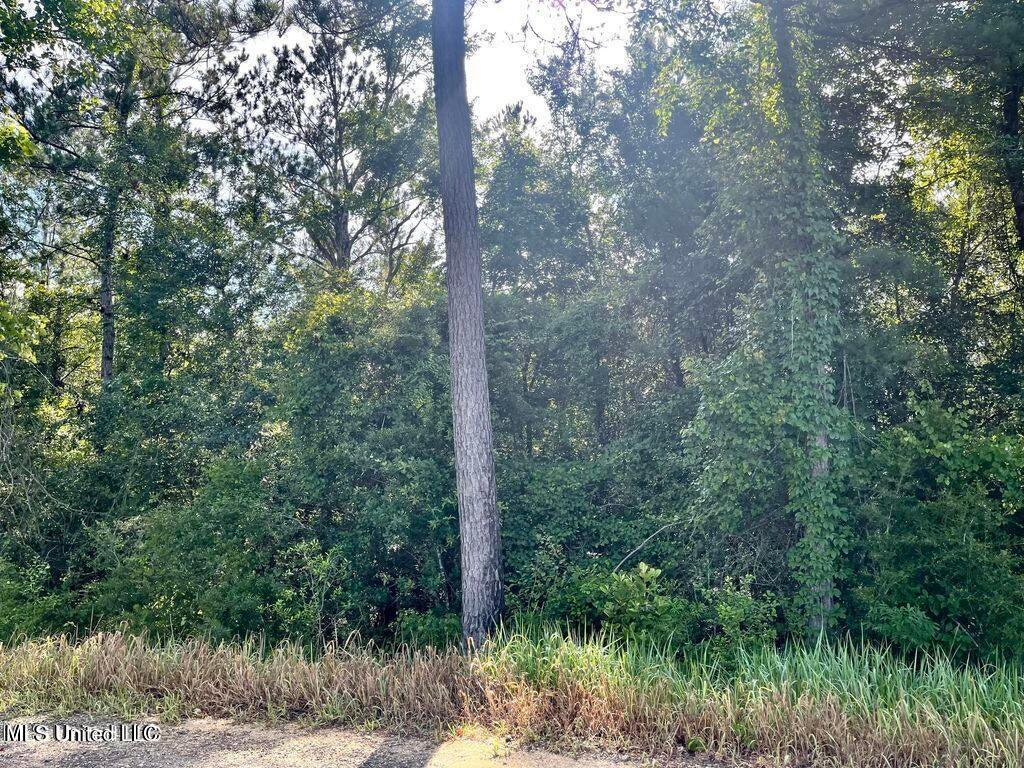 1.62 Acres Ferrell Lane Property Photo 5