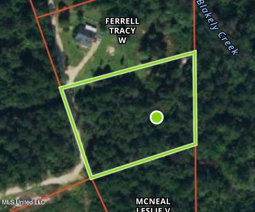 1.62 Acres Ferrell Lane Property Photo 6