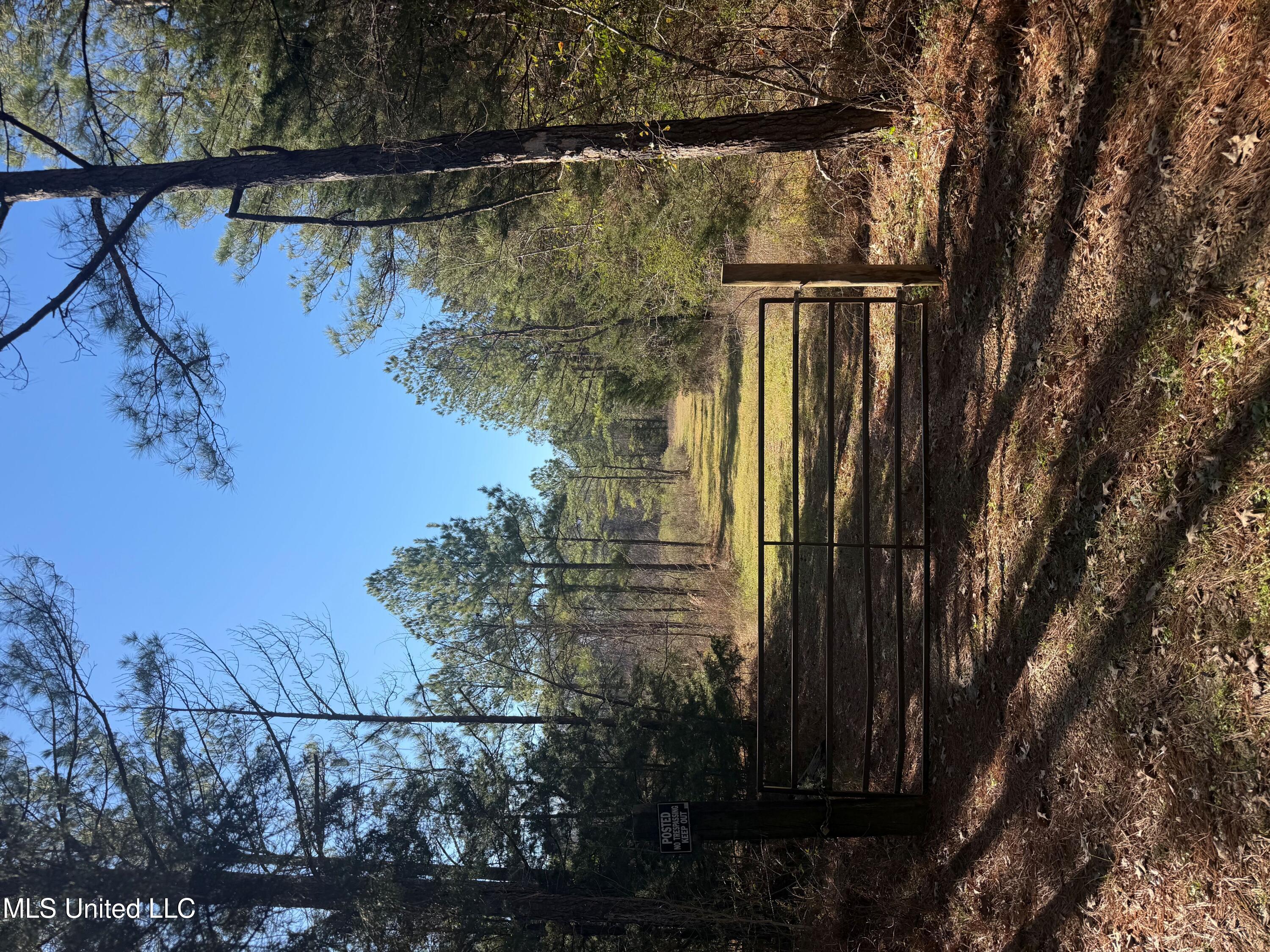 Off Of Saint Augustine Drive Property Photo 1