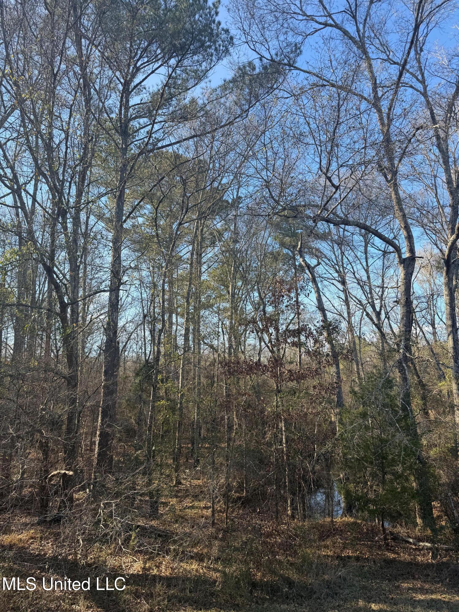 Off Of Saint Augustine Drive Property Photo 3