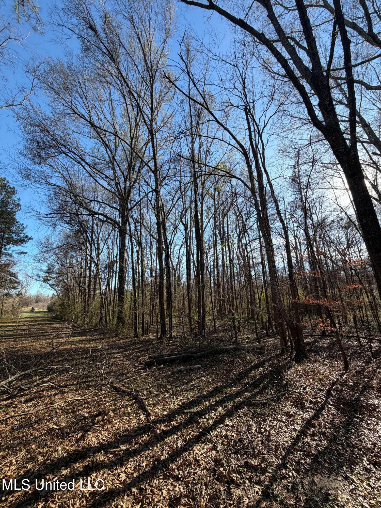 Off Of Saint Augustine Drive Property Photo 4