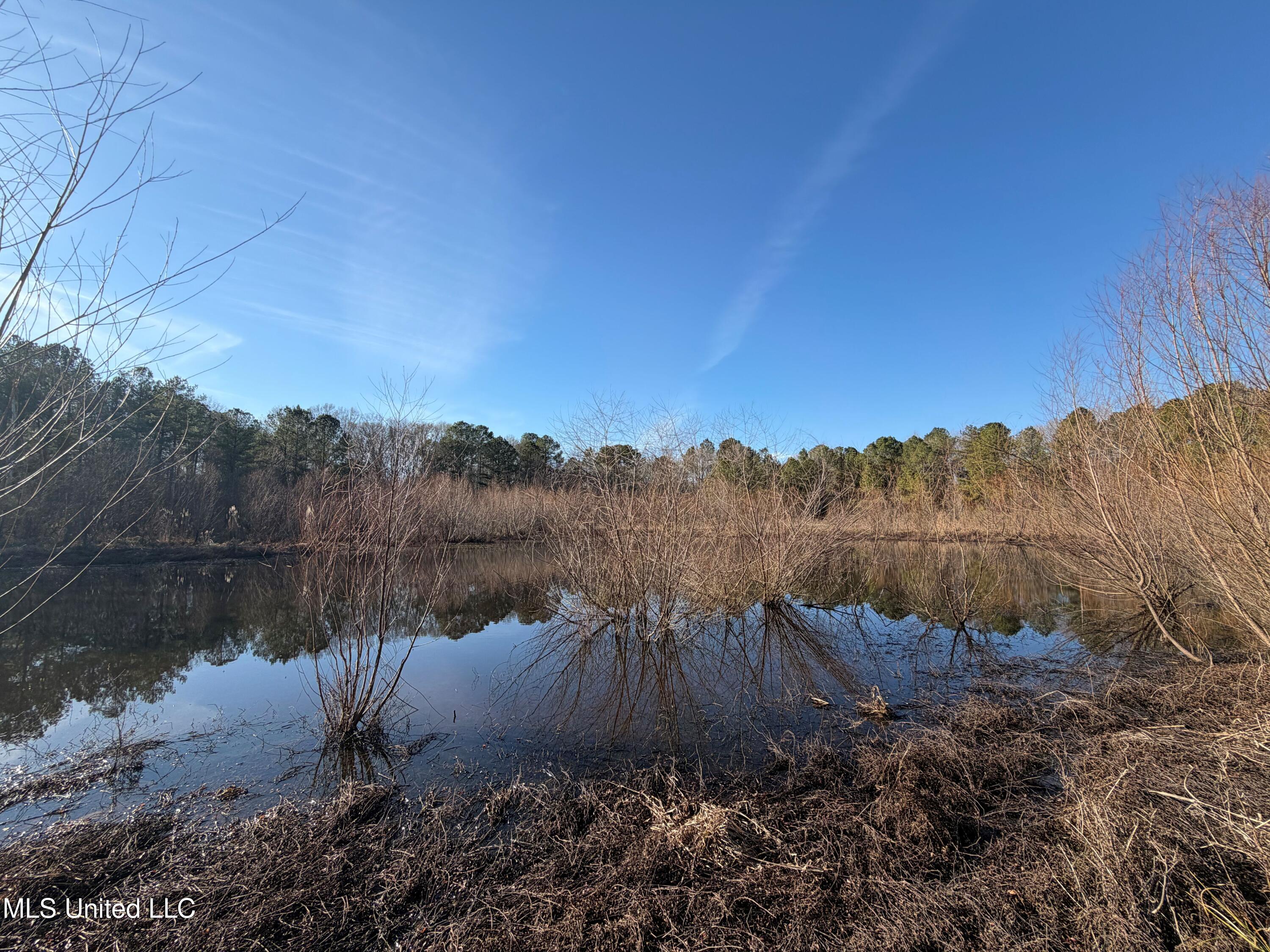 Off Of Saint Augustine Drive Property Photo 7