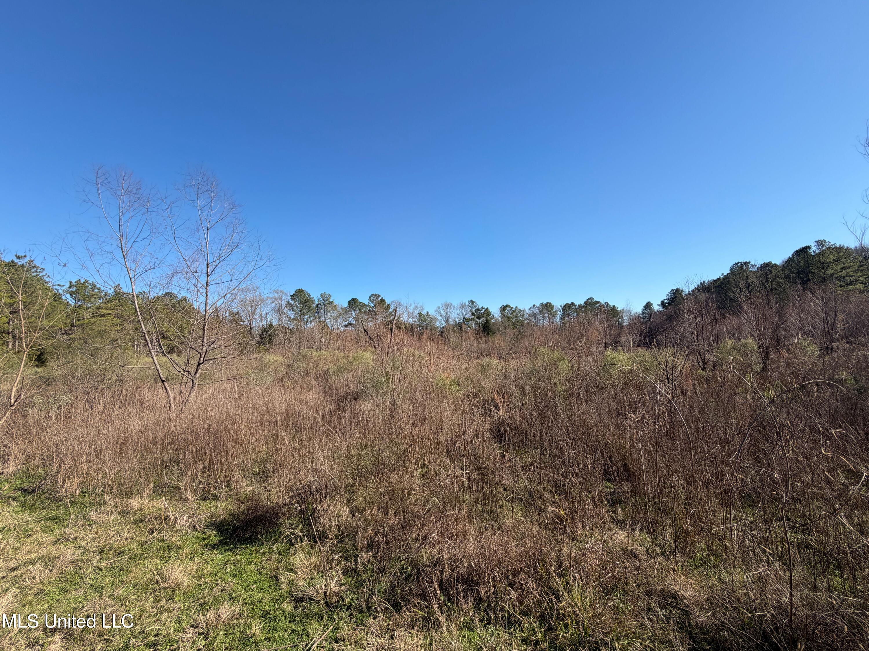 Off Of Saint Augustine Drive Property Photo 8