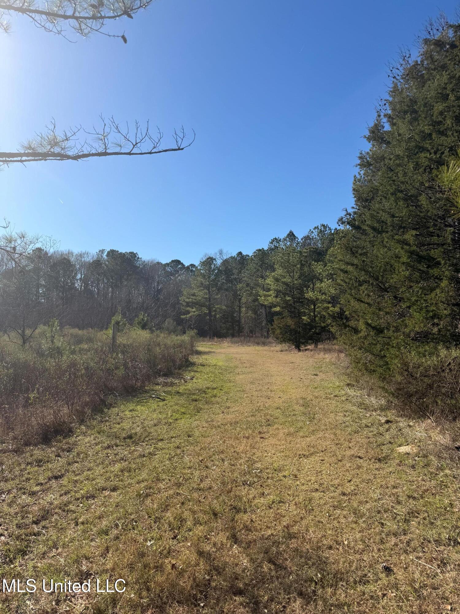 Off Of Saint Augustine Drive Property Photo 9