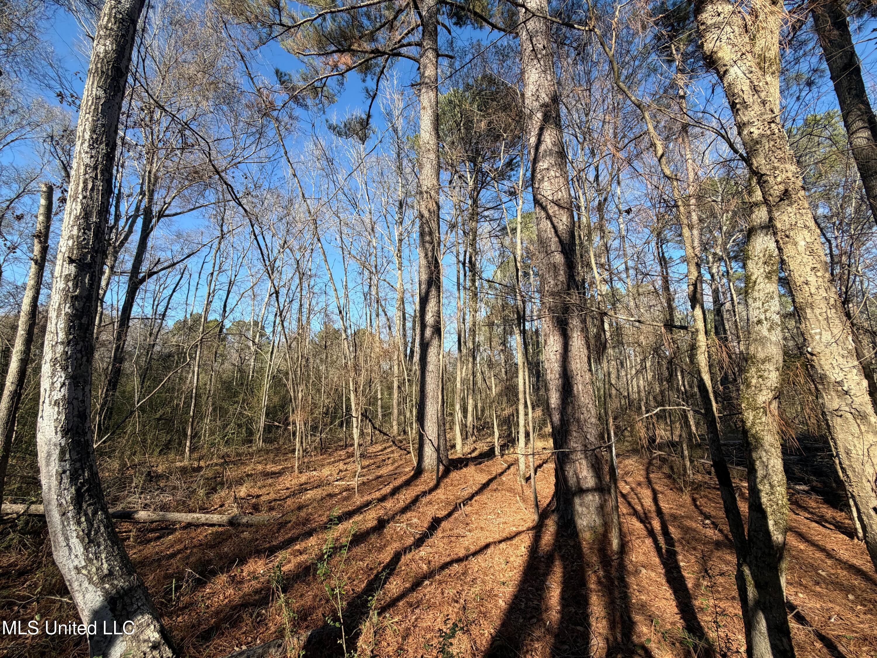 Off Of Saint Augustine Drive Property Photo 11