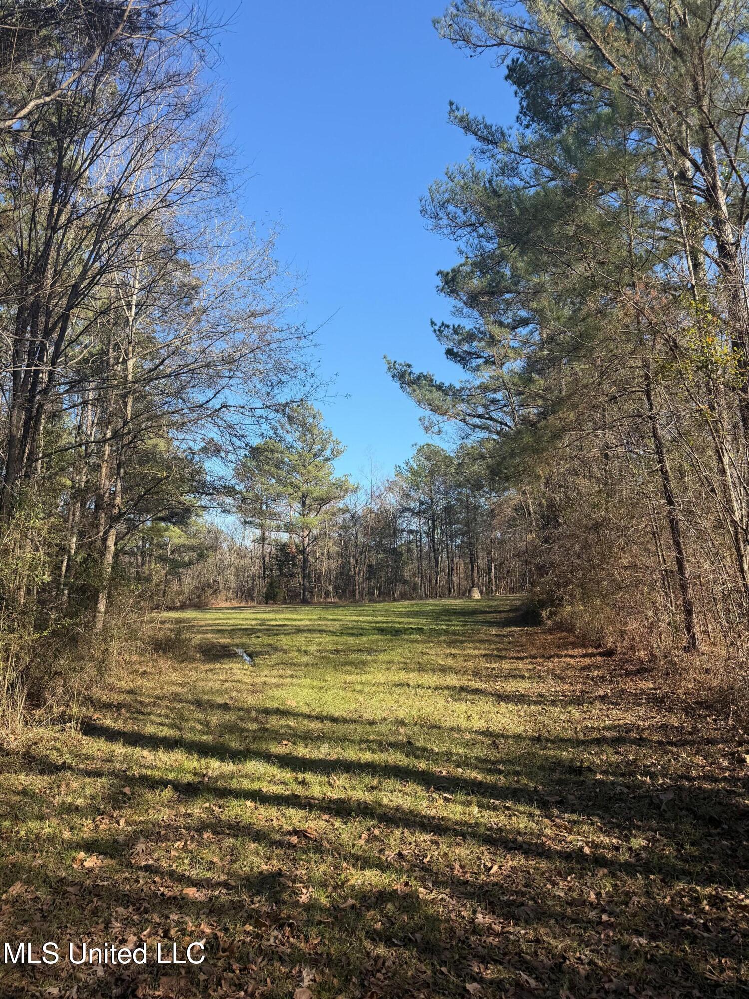 Off Of Saint Augustine Drive Property Photo 12