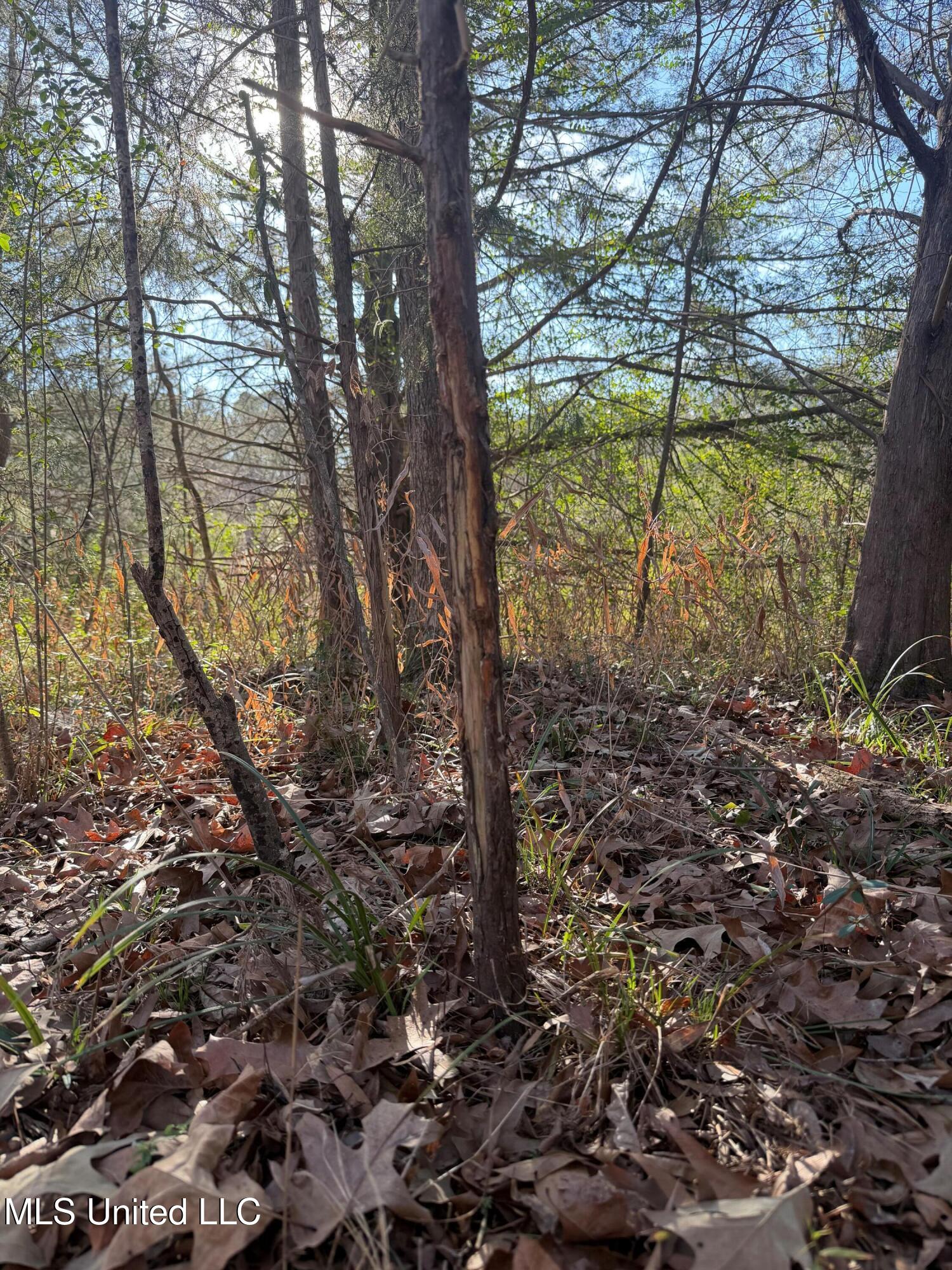 Off Of Saint Augustine Drive Property Photo 13