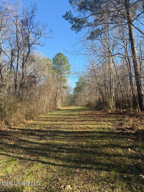 Off Of Saint Augustine Drive Property Photo 16