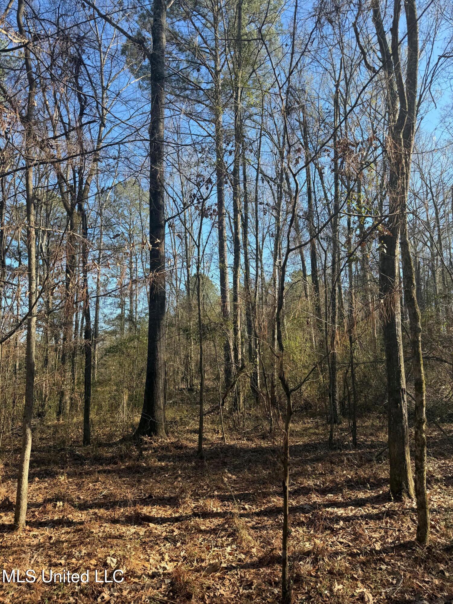 Off Of Saint Augustine Drive Property Photo 18