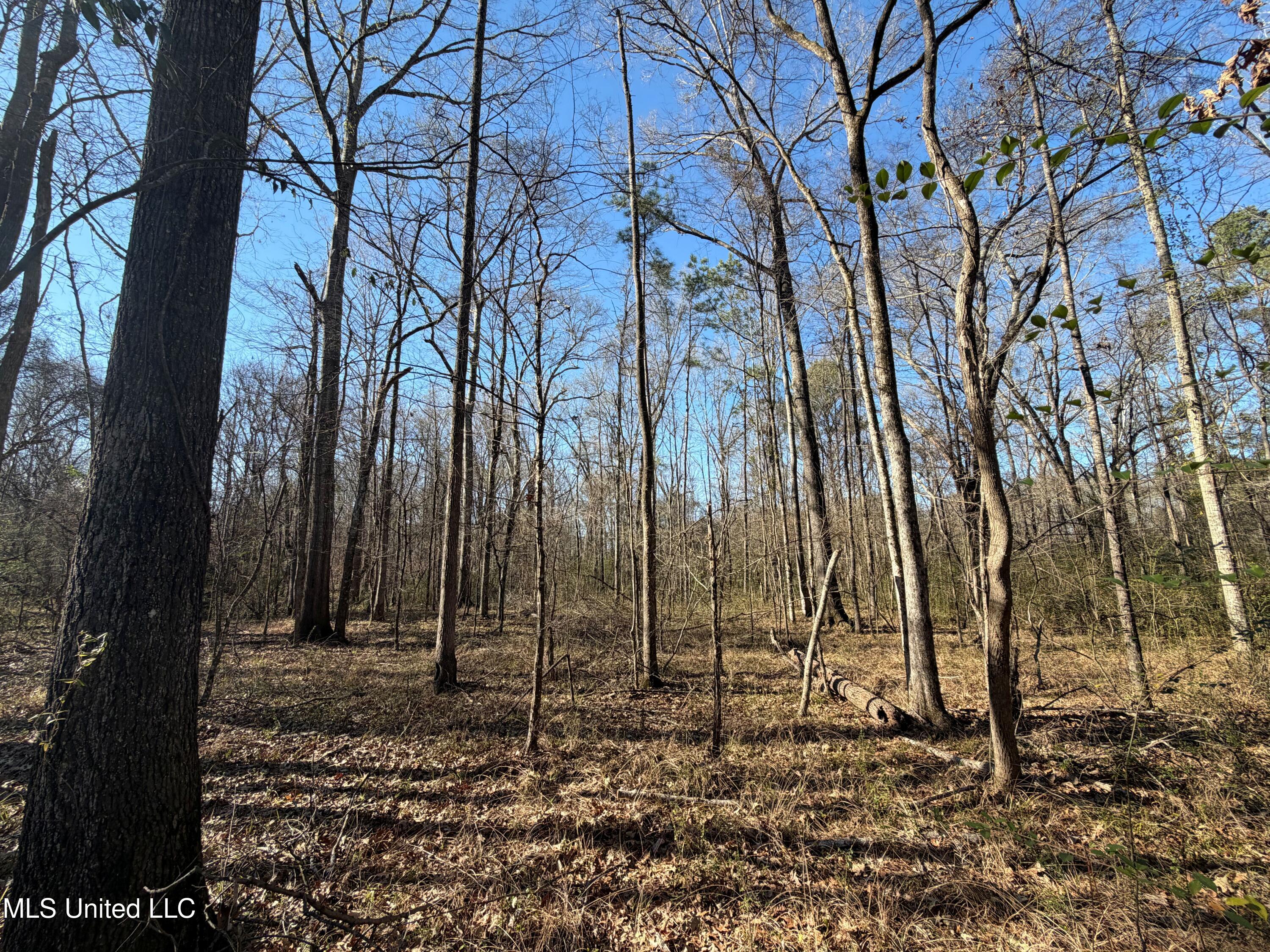 Off Of Saint Augustine Drive Property Photo 19