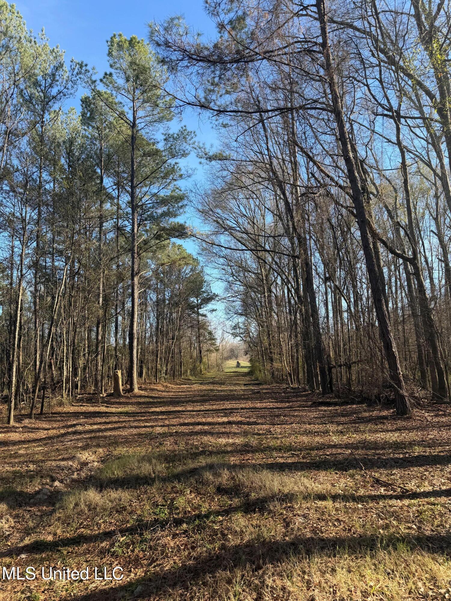 Off Of Saint Augustine Drive Property Photo 21