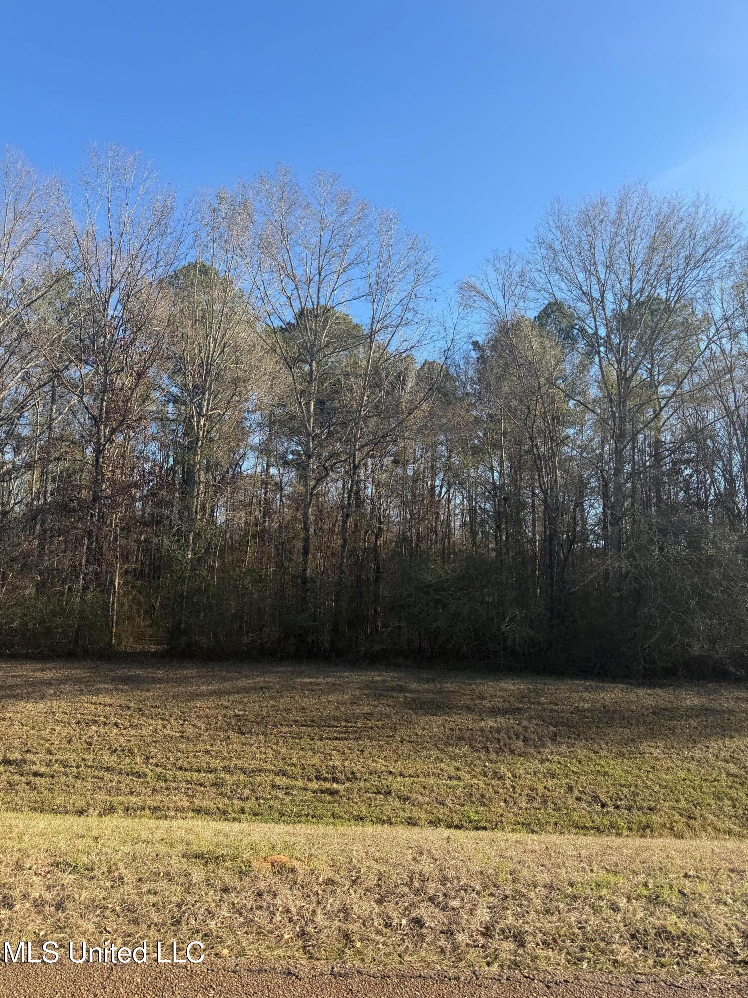 Off Of Saint Augustine Drive Property Photo 23
