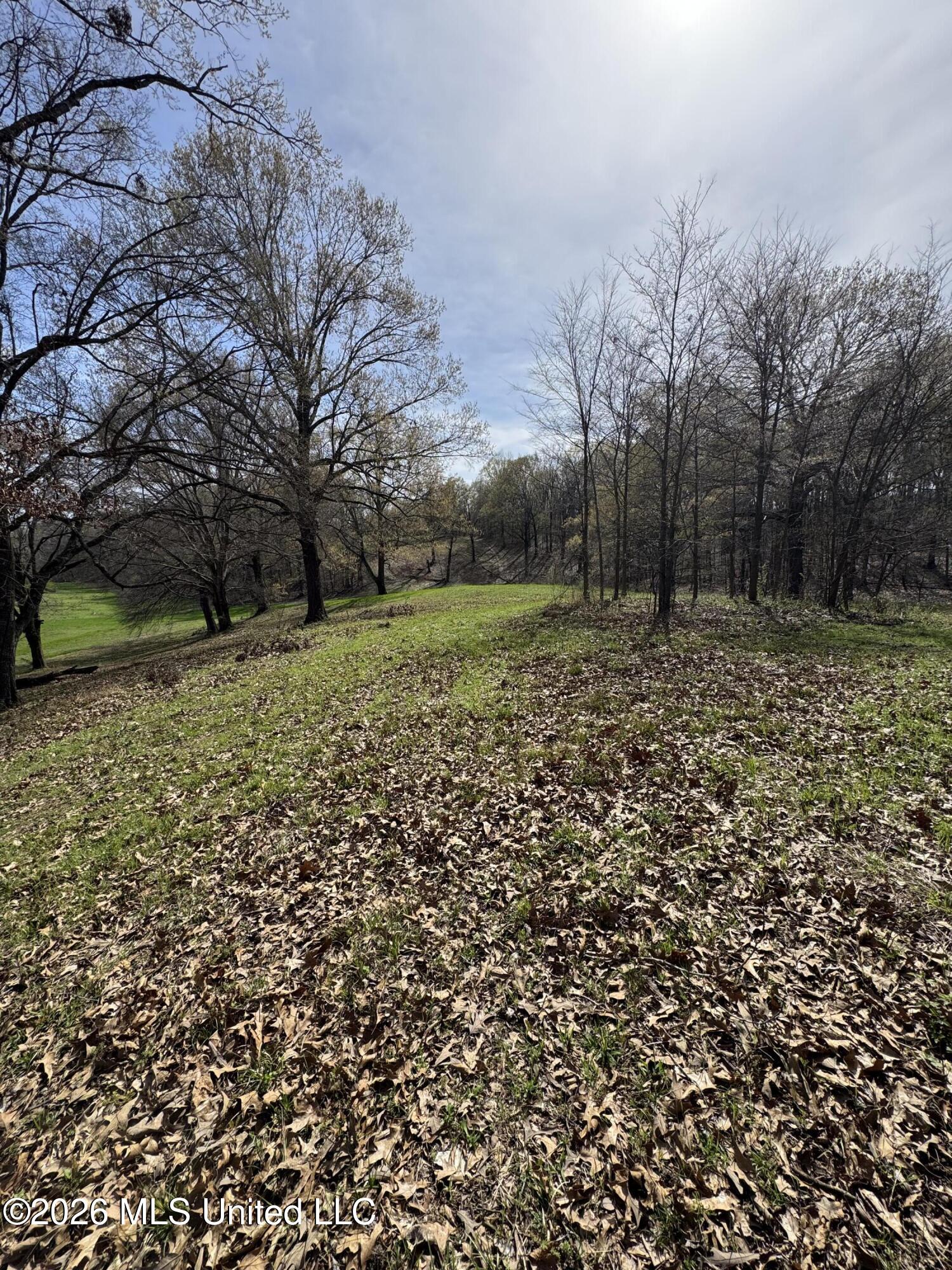 0 Green River Road Property Photo 1
