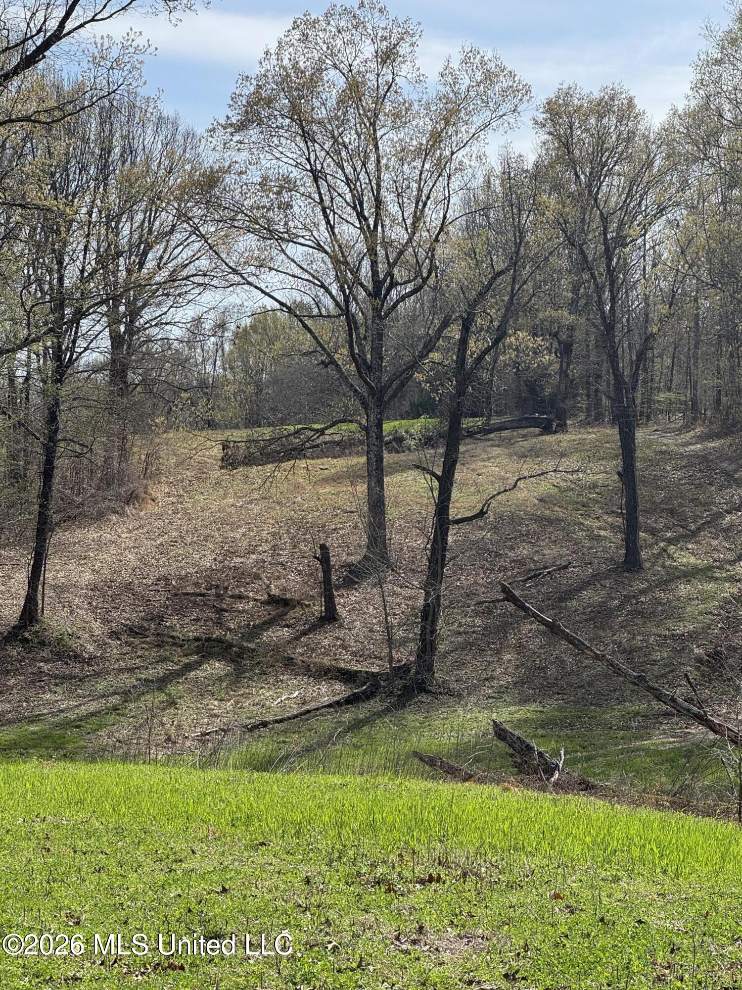 0 Green River Road Property Photo 2