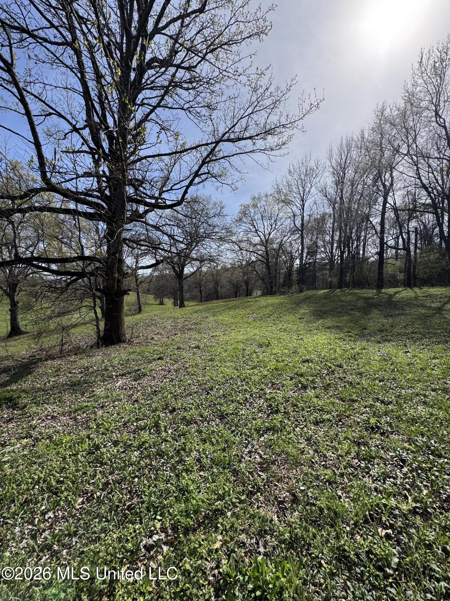 0 Green River Road Property Photo 3