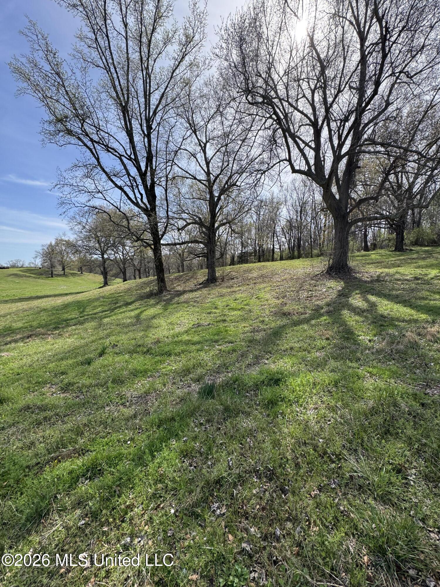 0 Green River Road Property Photo 4