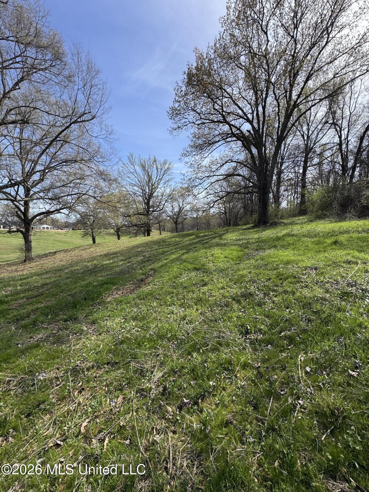0 Green River Road Property Photo 5
