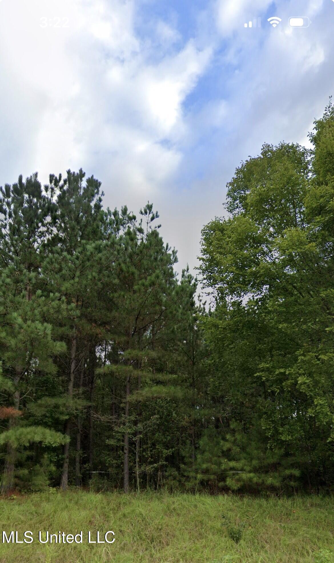 5300 Purvis Place Property Photo 1