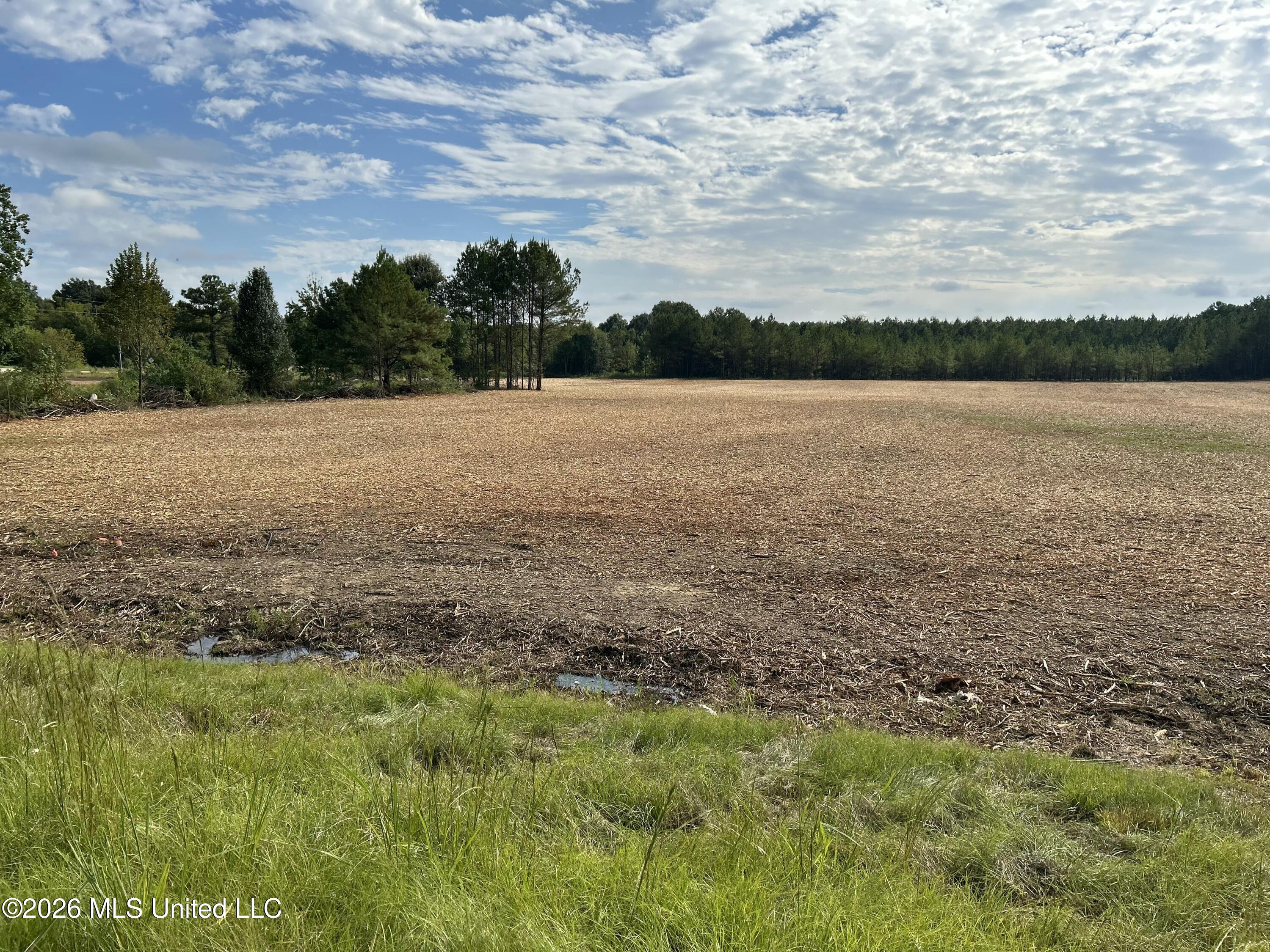 W Sowell Road Property Photo 2
