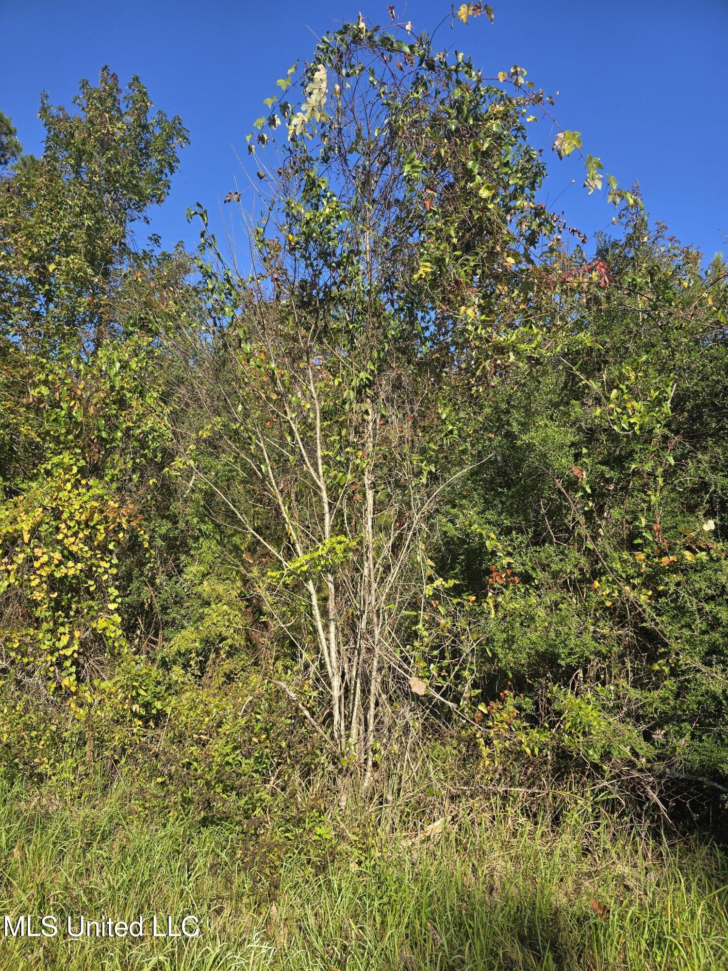 Jim Ramsey Cutoff Road Property Photo 1