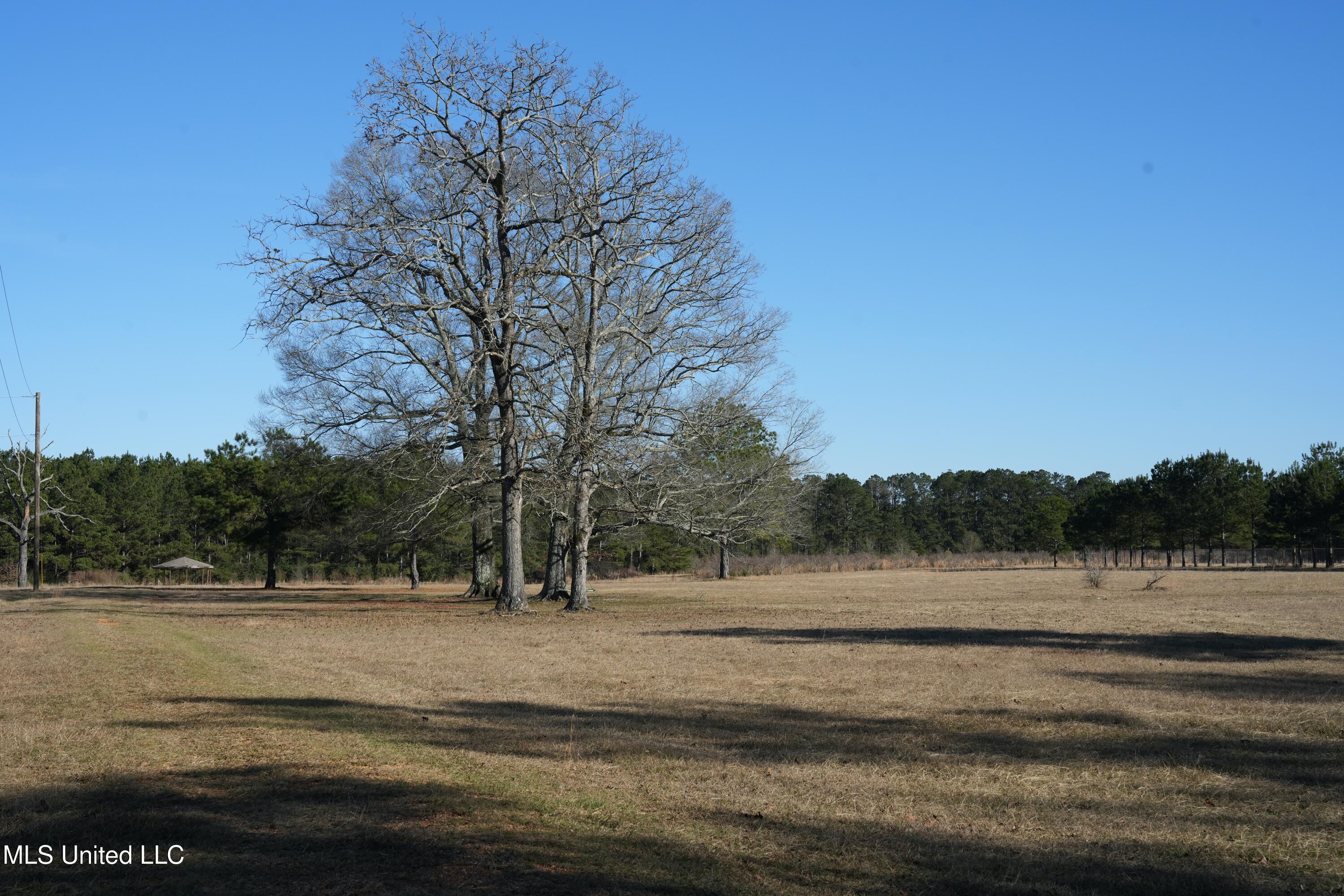 1082 Double M Property Photo 6