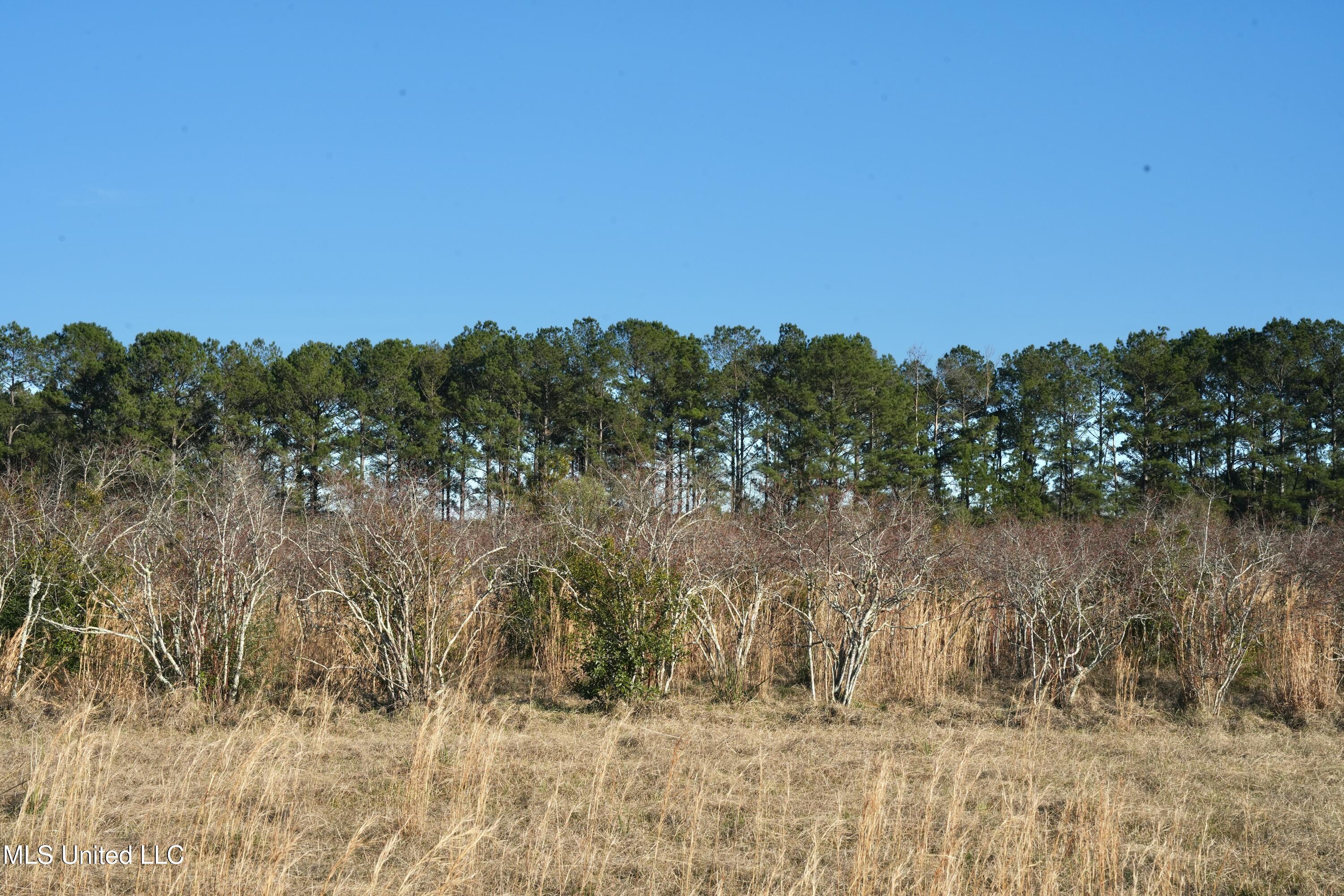 1082 Double M Property Photo 32