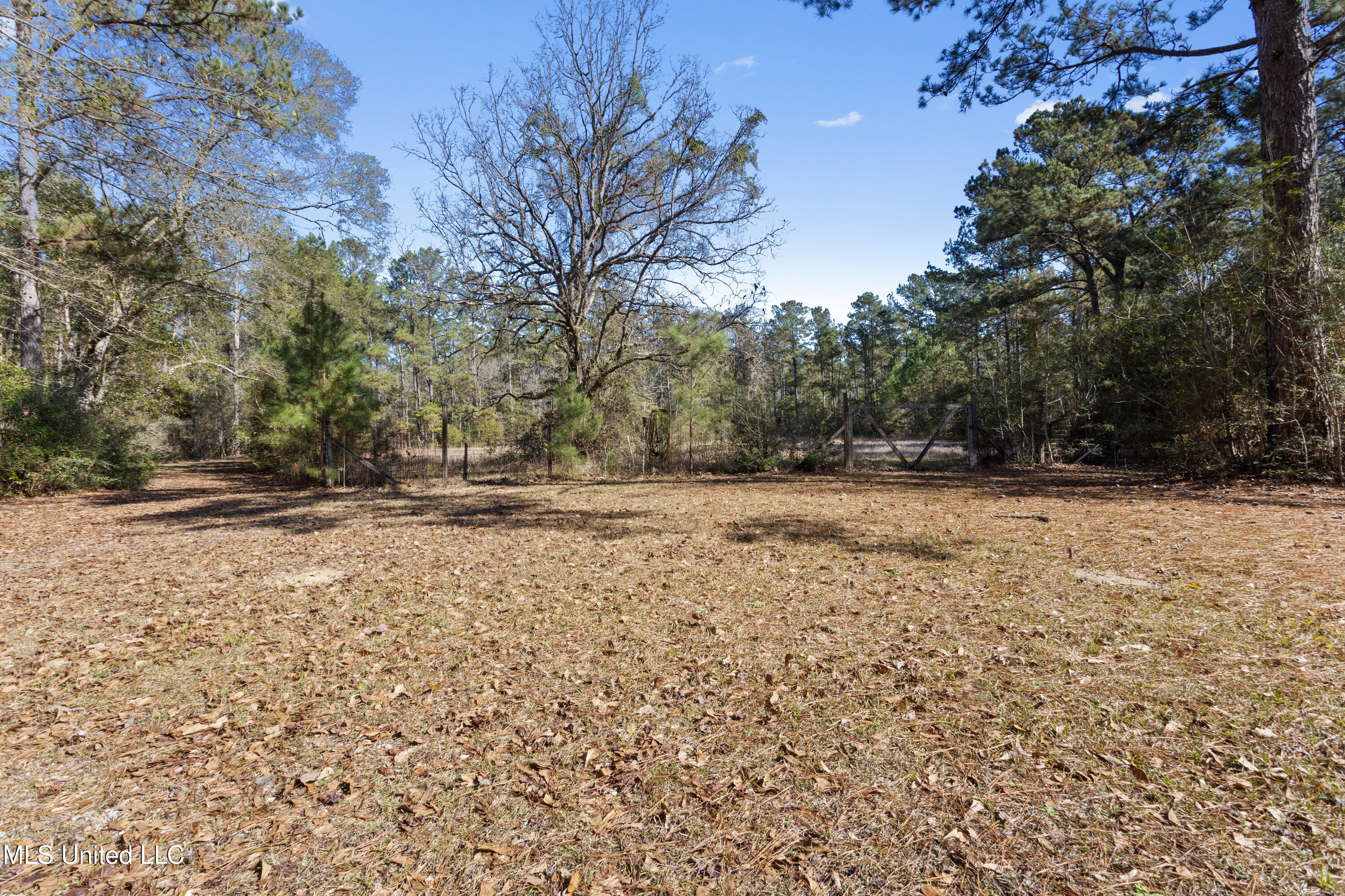 10130 Road 307 Property Photo 35