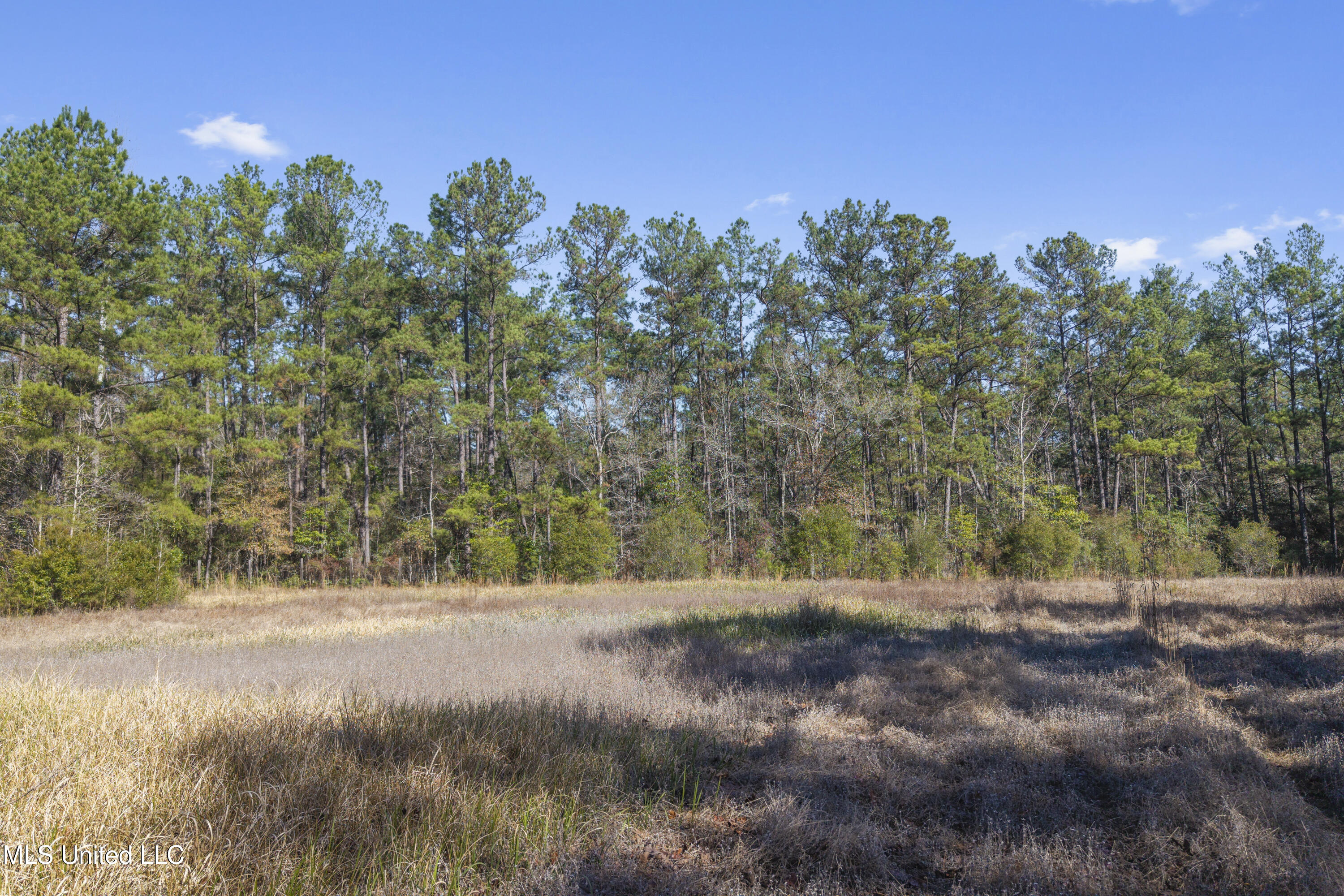 10130 Road 307 Property Photo 63