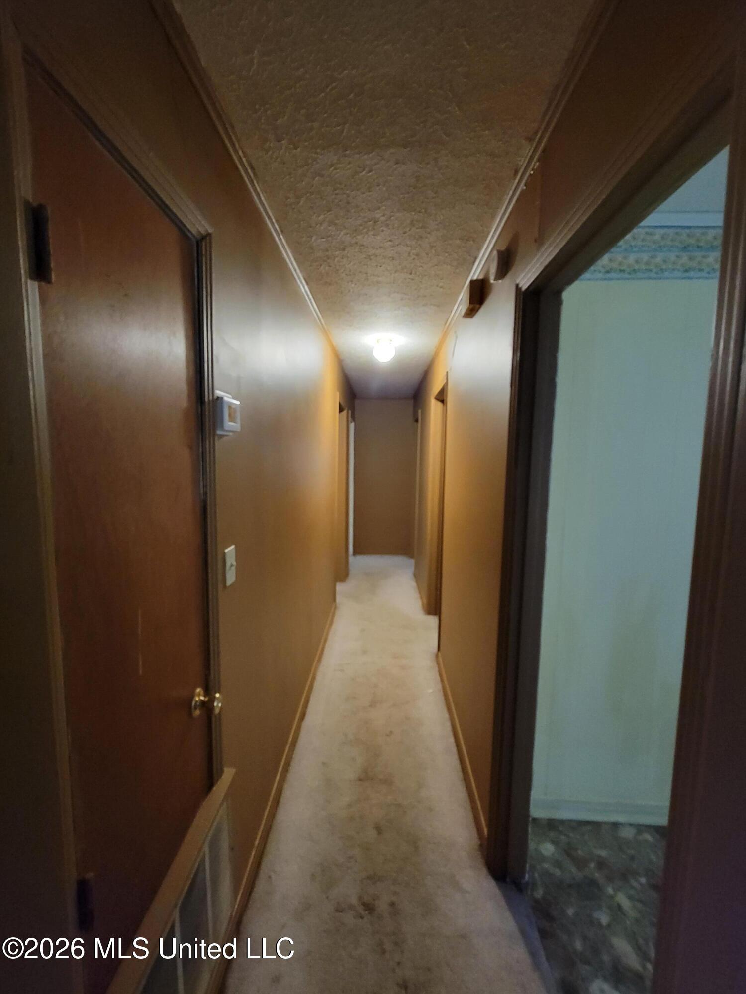 817 Roosevelt Street Property Photo 6