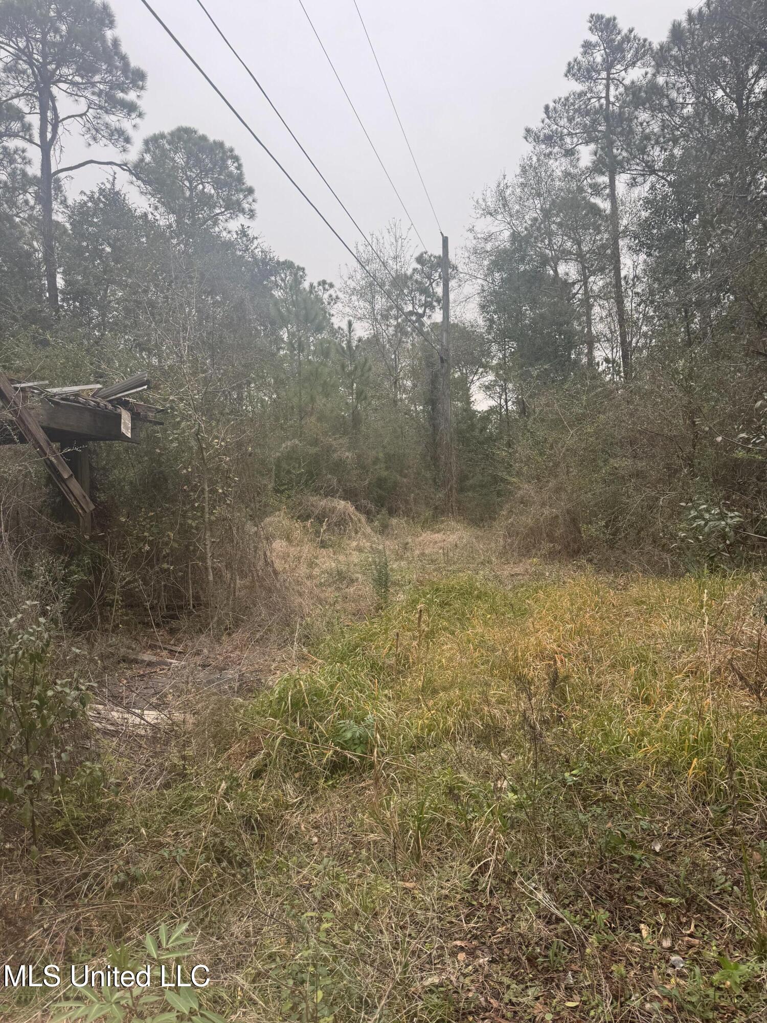 121 Pinecone Street Property Photo 2