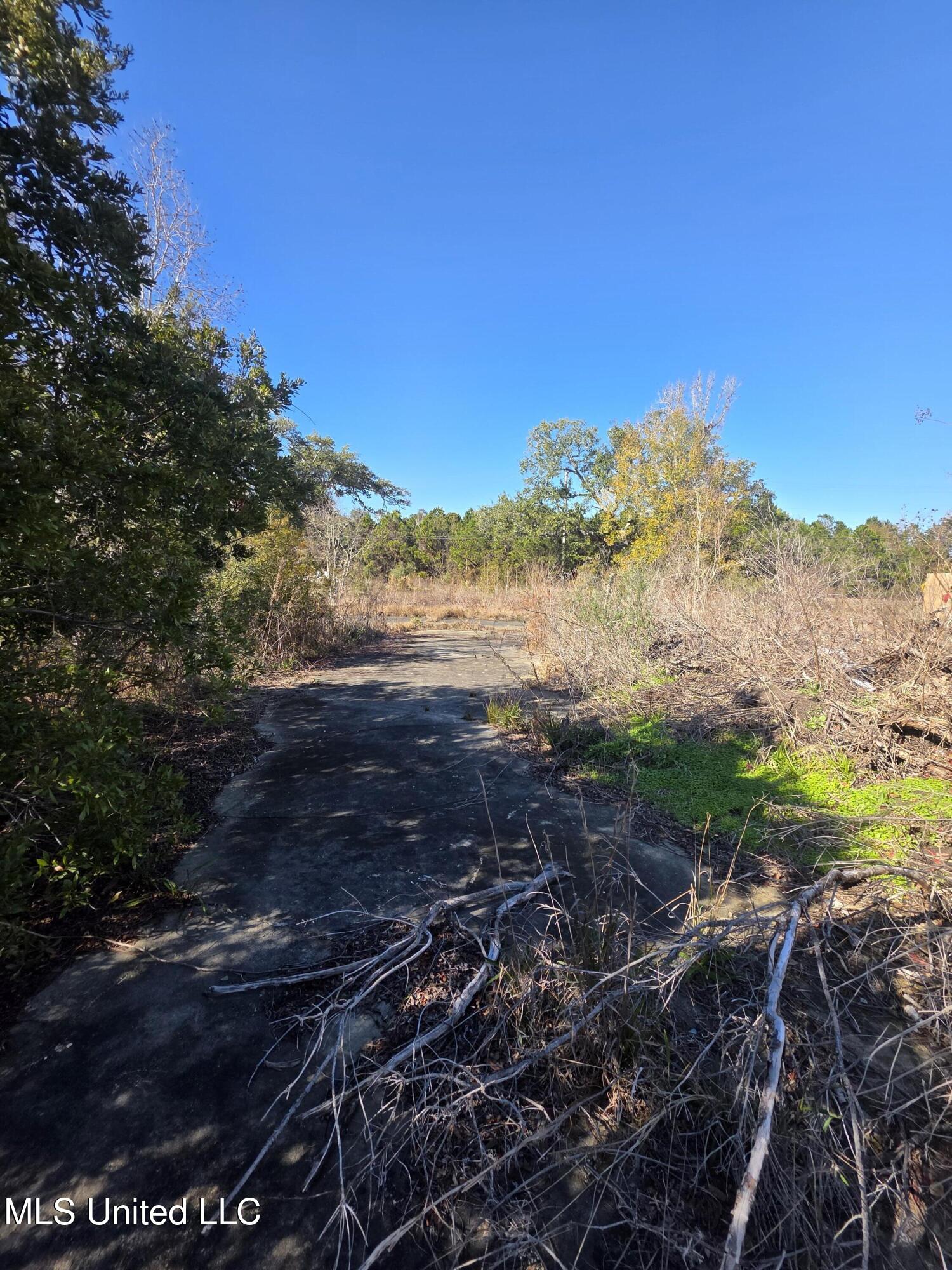 732 Wildwood Court Property Photo 4