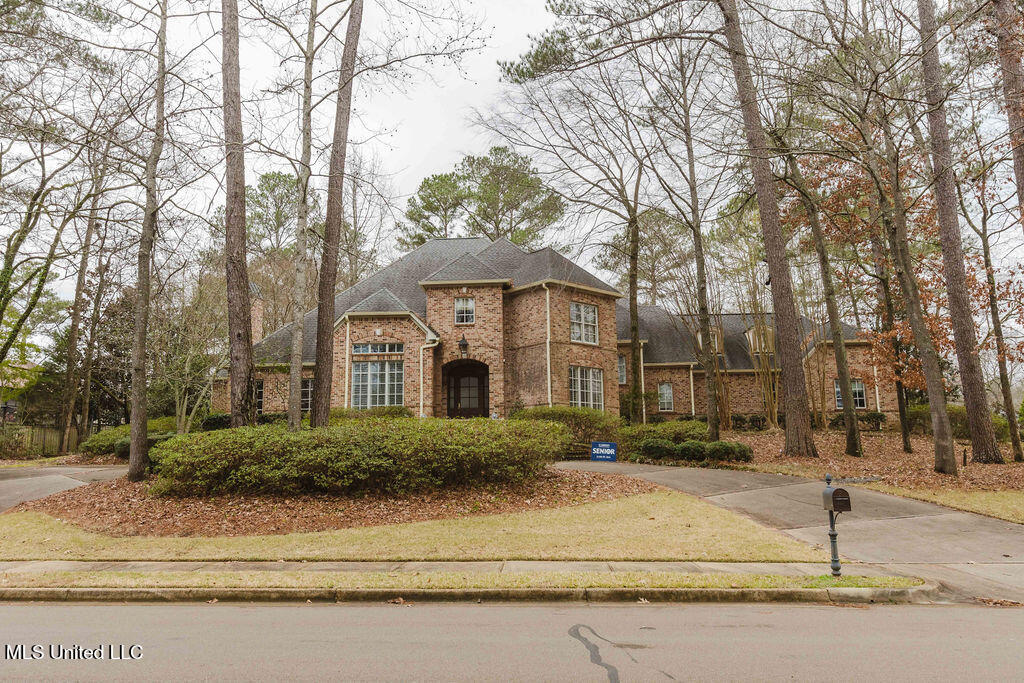 101 Summer Lake Drive Property Photo 1