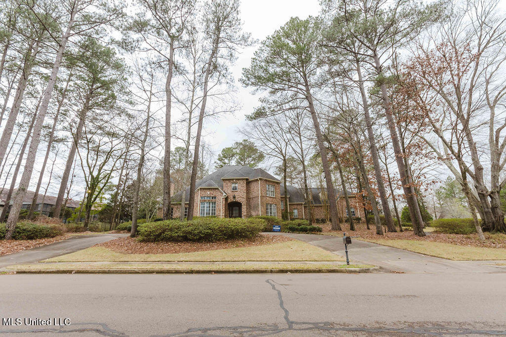 101 Summer Lake Drive Property Photo 2