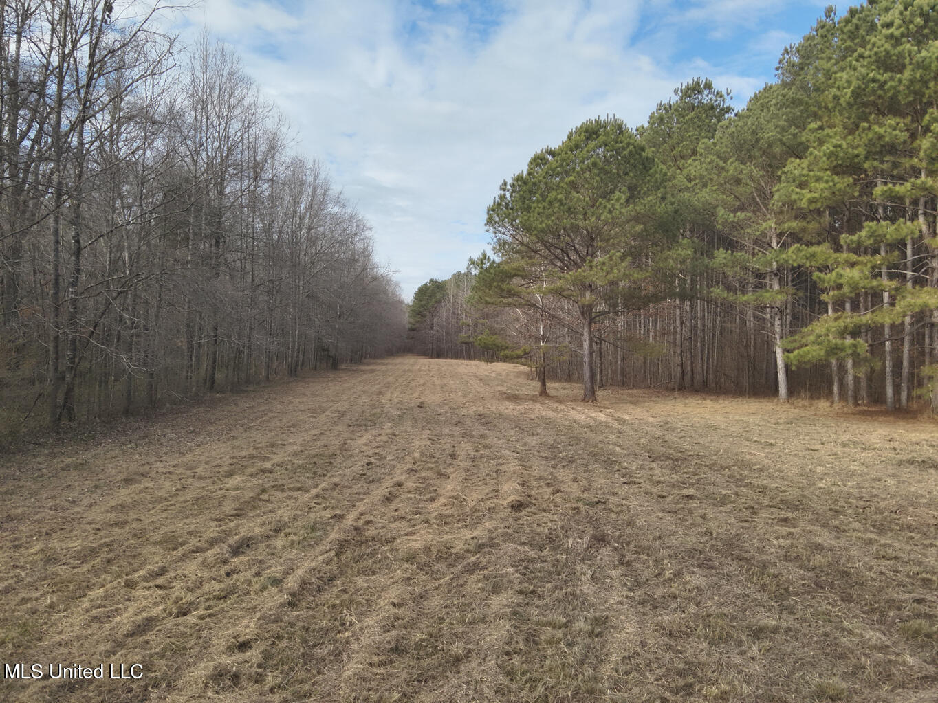 1356 Harrell Road Road Property Photo 2