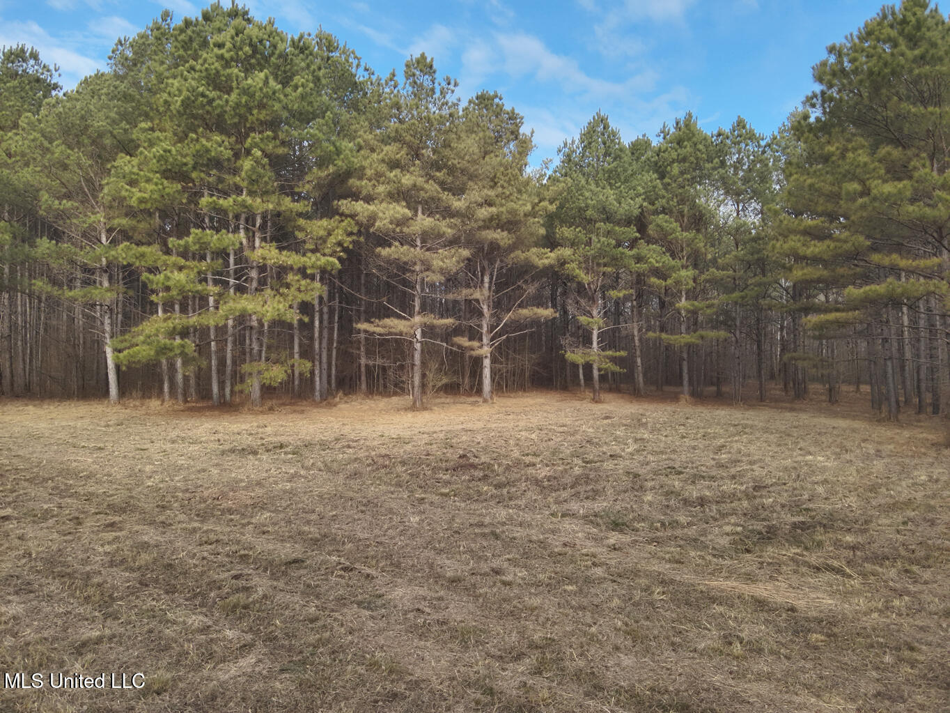 1356 Harrell Road Road Property Photo 3