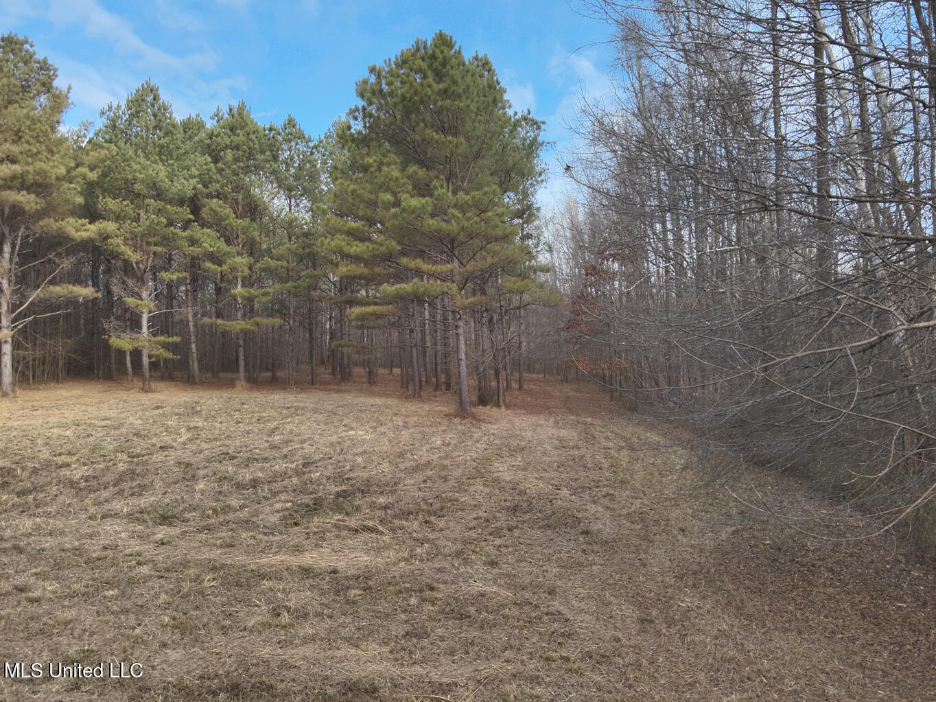 1356 Harrell Road Road Property Photo 5