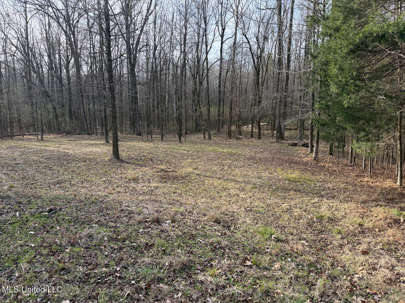 1356 Harrell Road Road Property Photo 6