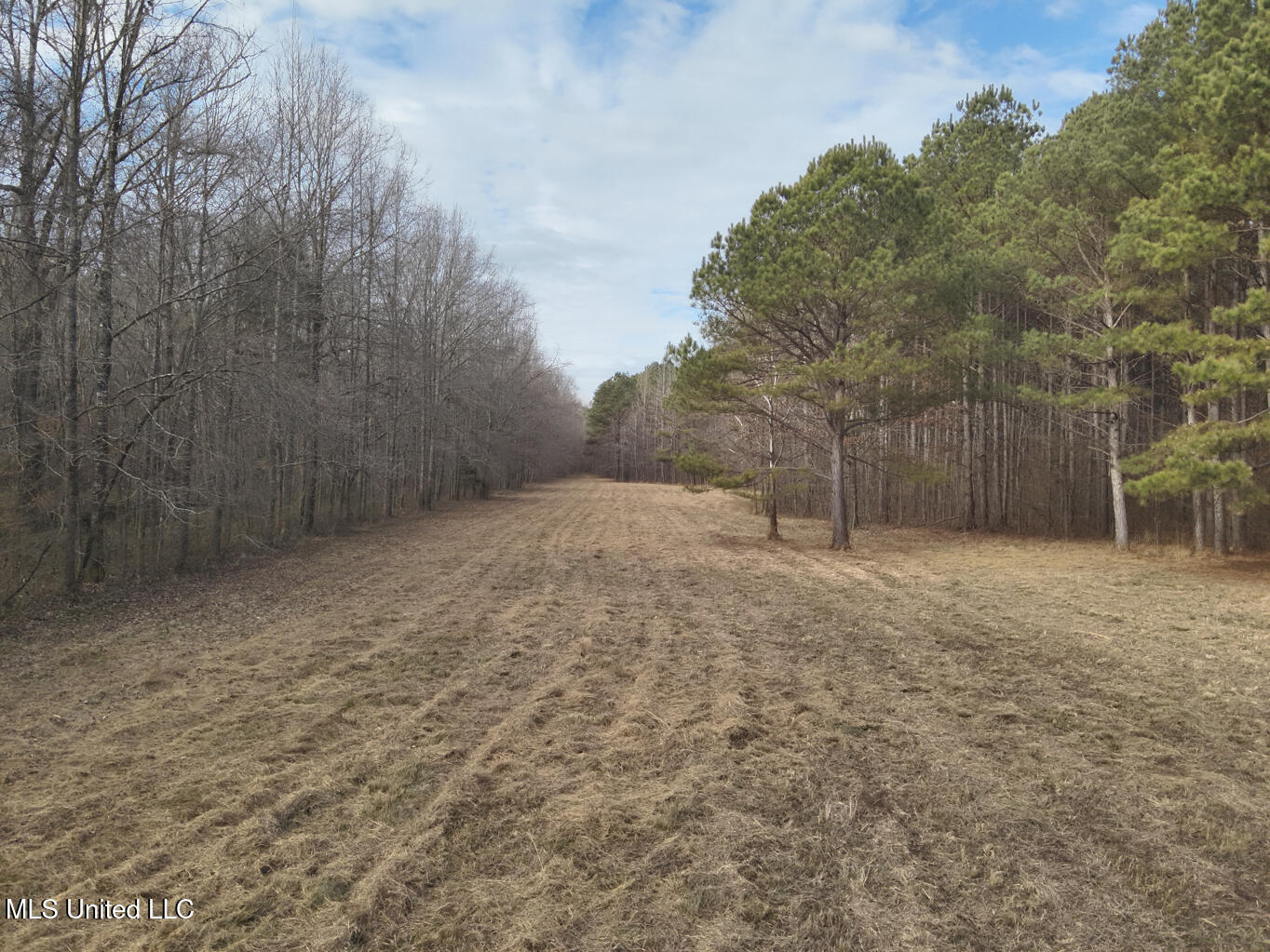 1356 Harrell Road Road Property Photo 7