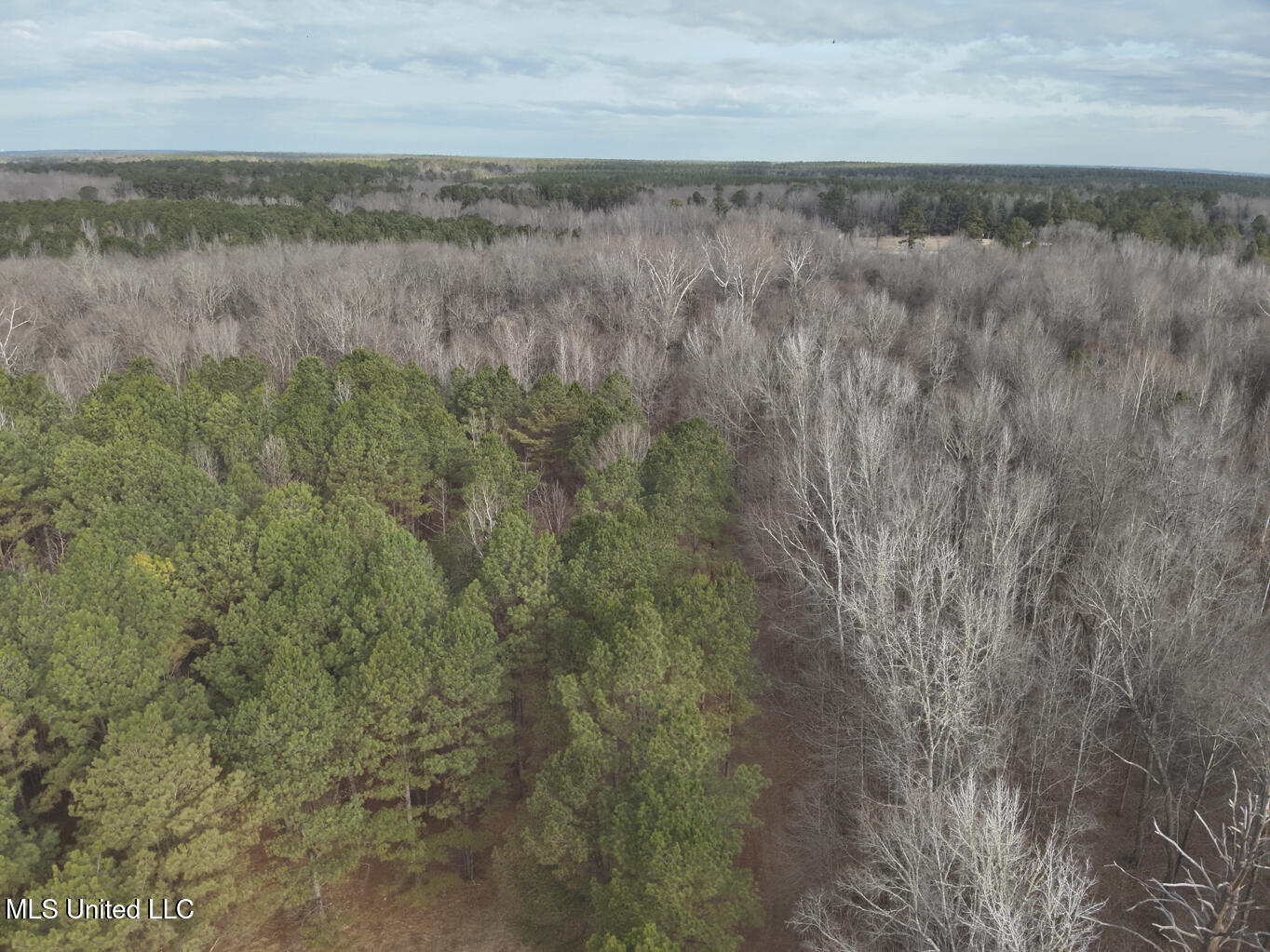 1356 Harrell Road Road Property Photo 9