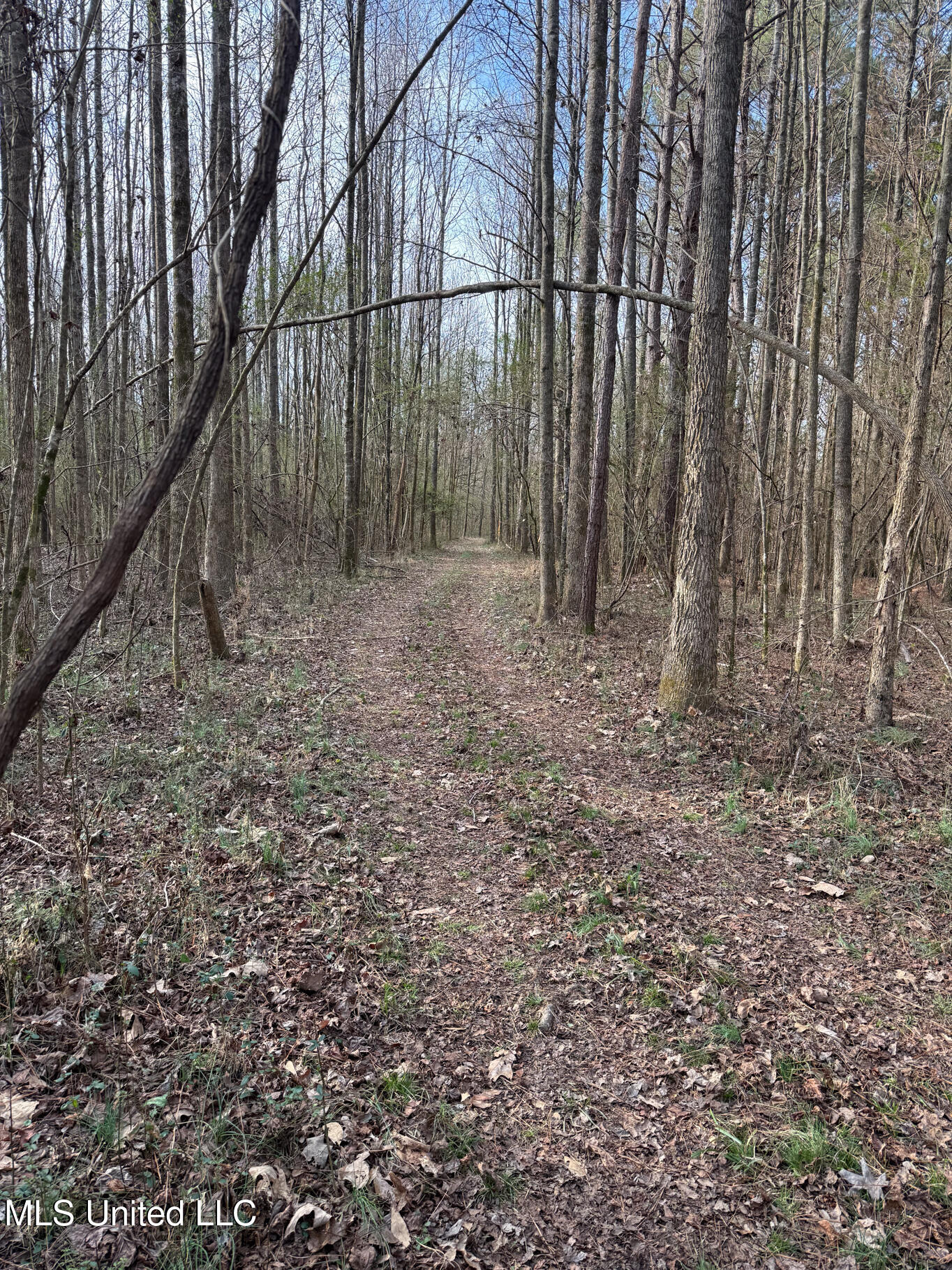 1356 Harrell Road Road Property Photo 14