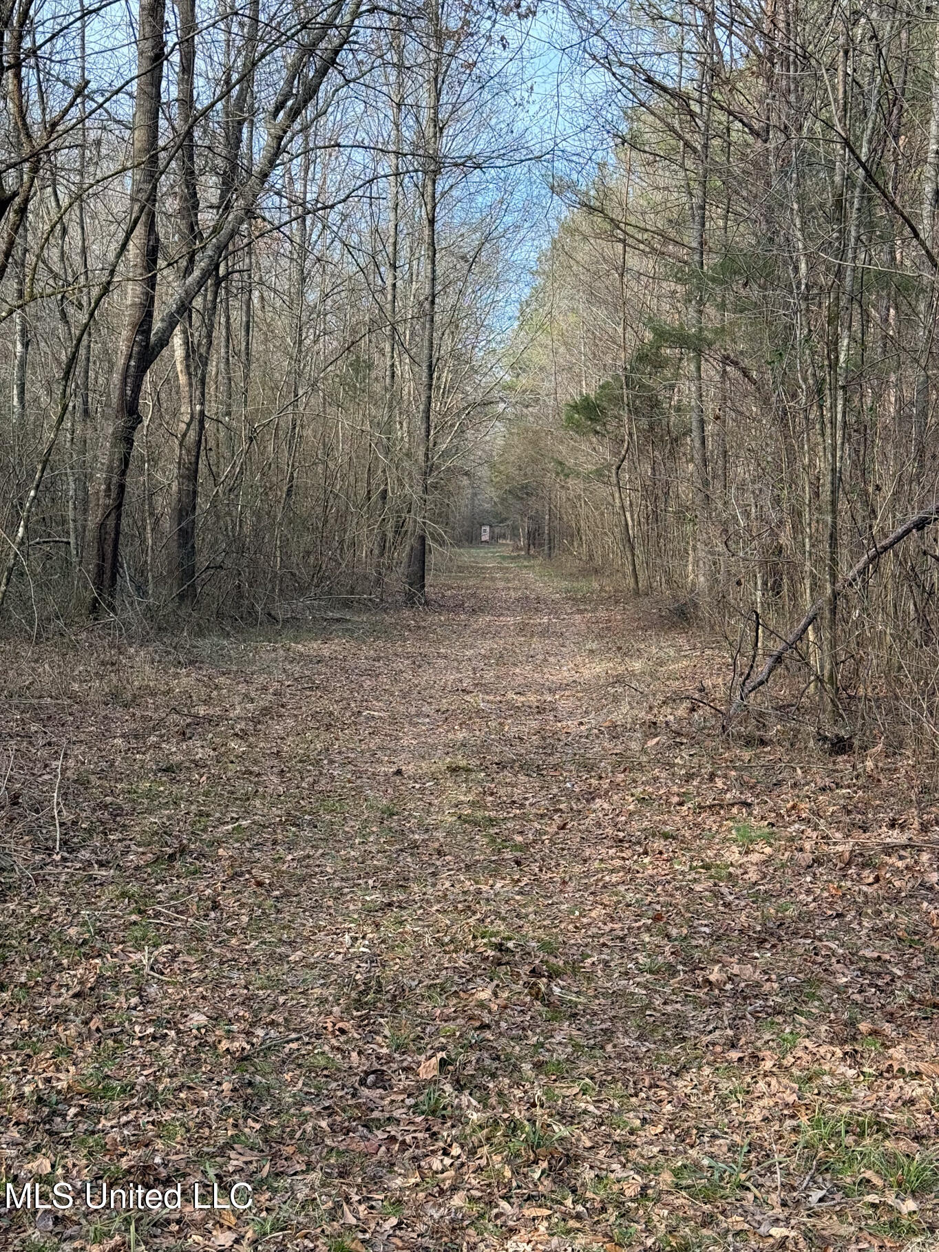 1356 Harrell Road Road Property Photo 15