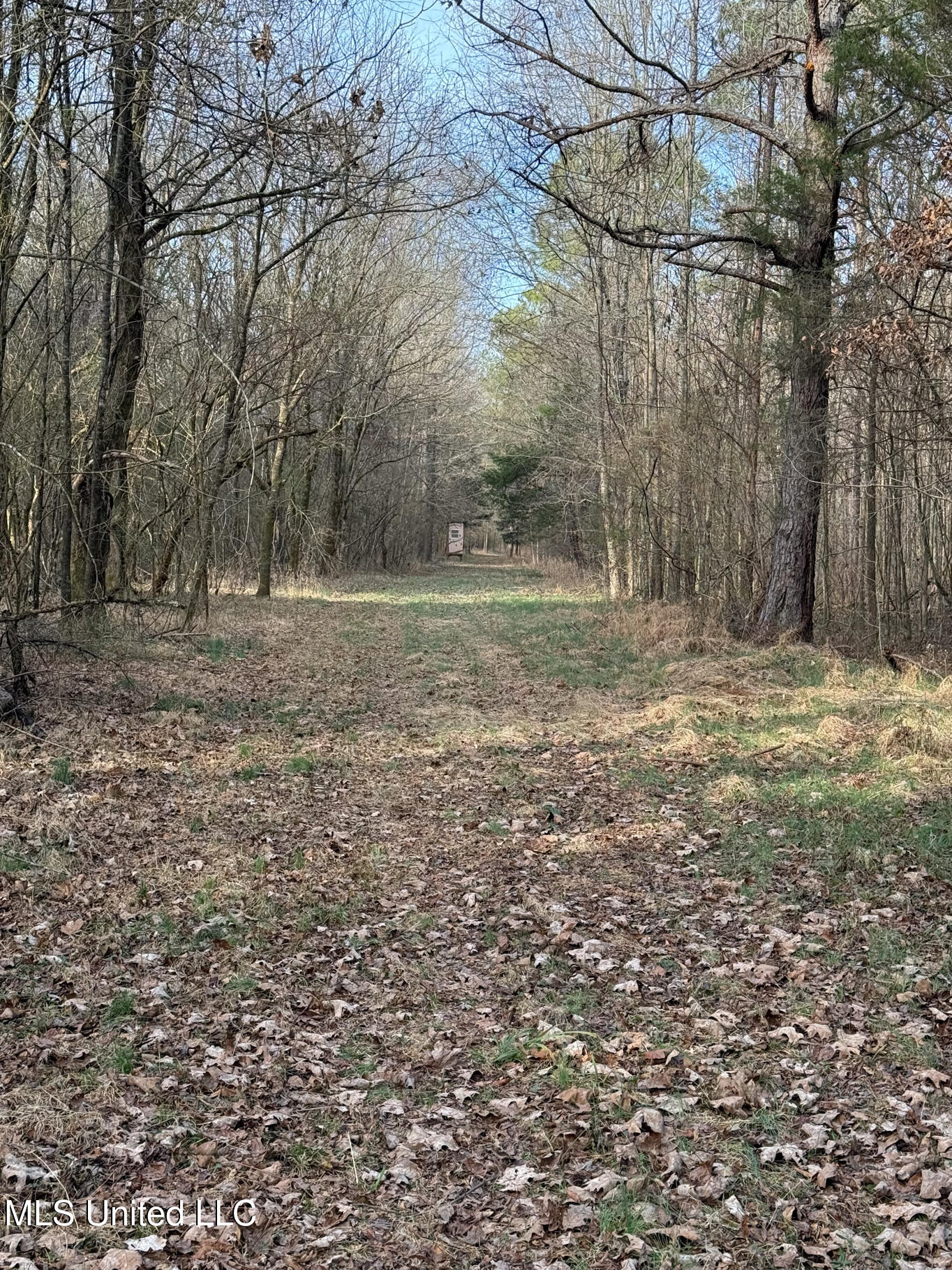 1356 Harrell Road Road Property Photo 16