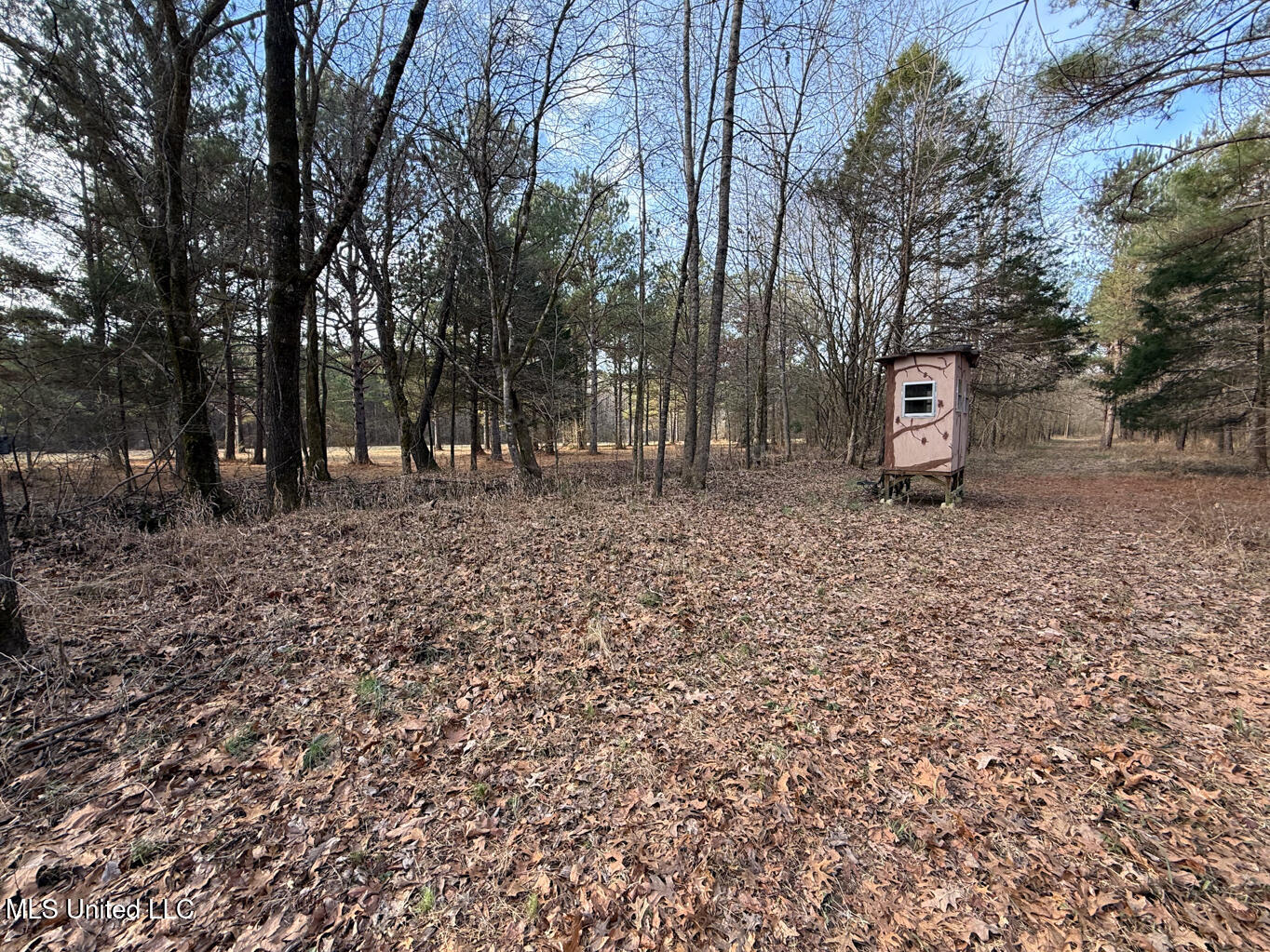 1356 Harrell Road Road Property Photo 17