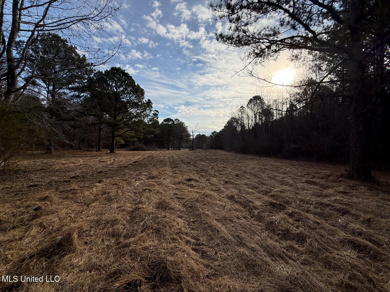 1356 Harrell Road Road Property Photo 18