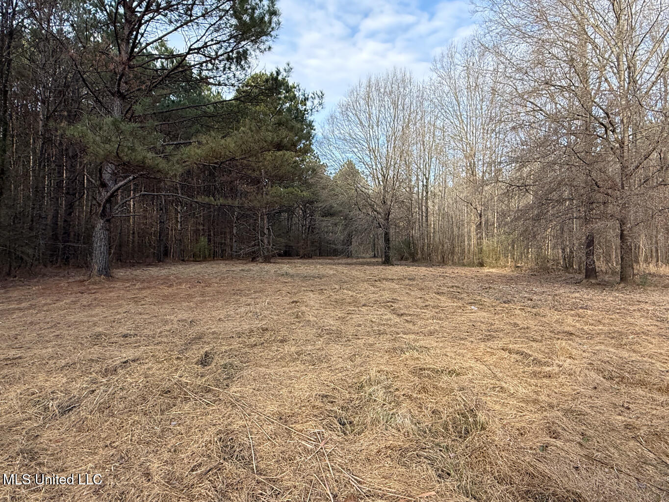 1356 Harrell Road Road Property Photo 19