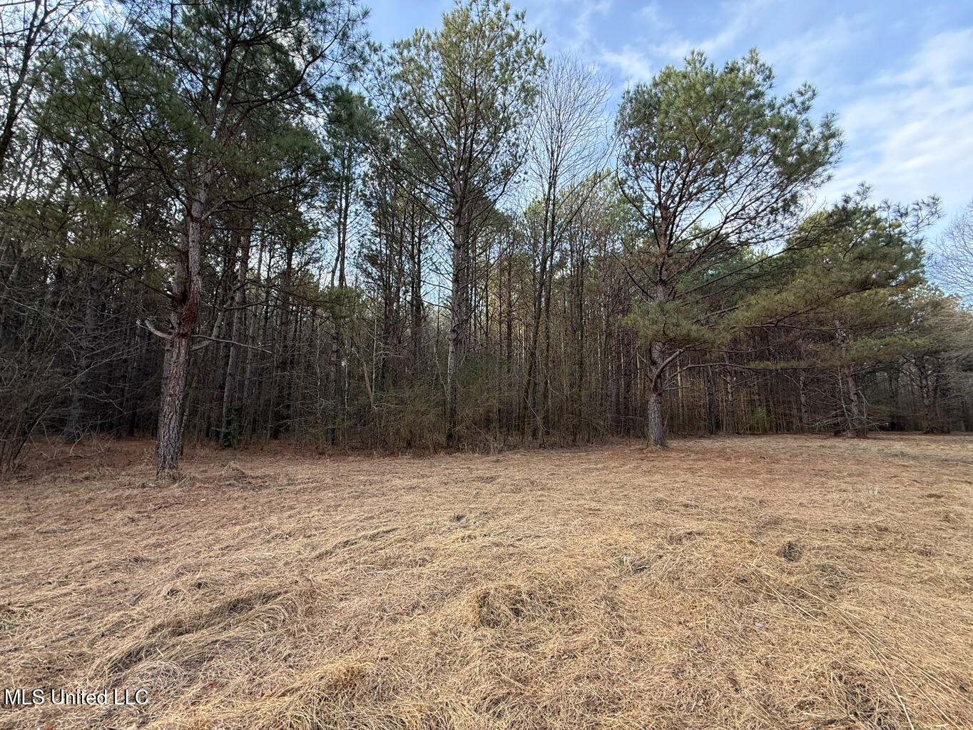 1356 Harrell Road Road Property Photo 20