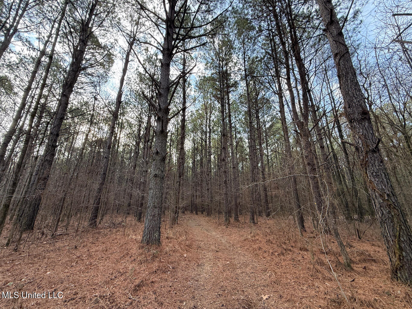 1356 Harrell Road Road Property Photo 21