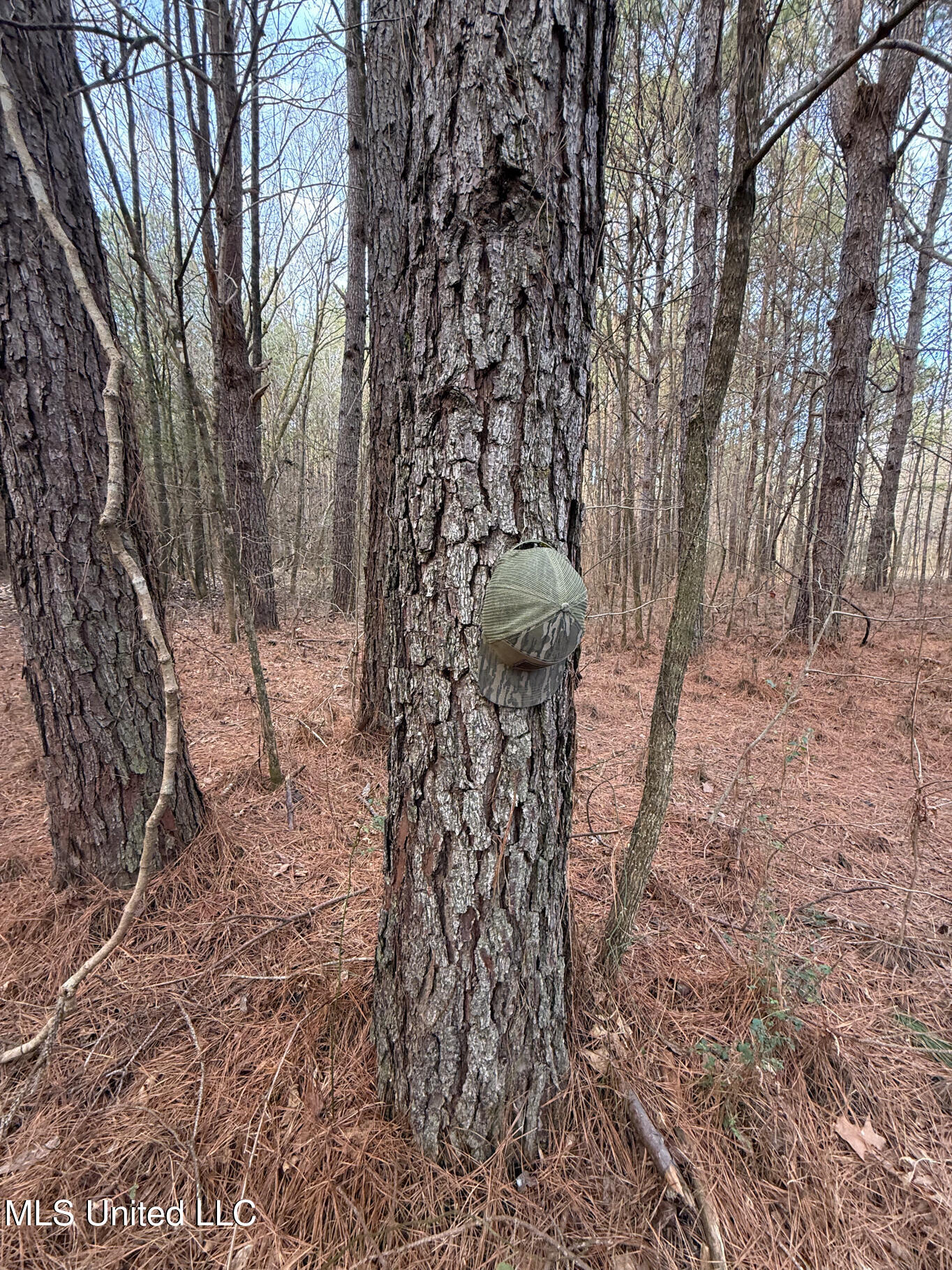1356 Harrell Road Road Property Photo 22