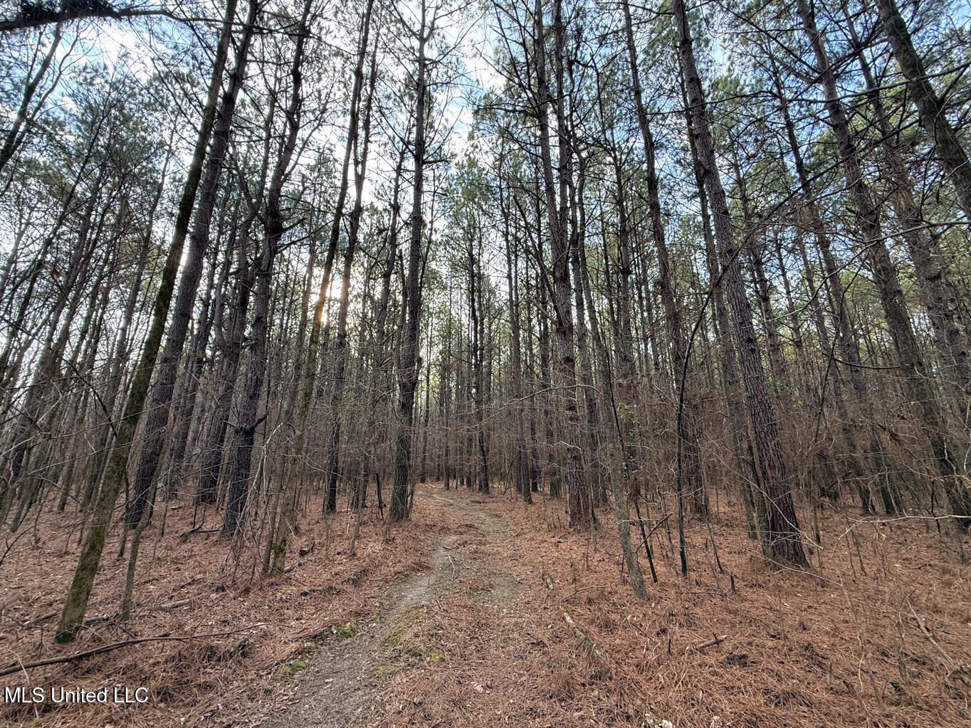 1356 Harrell Road Road Property Photo 23